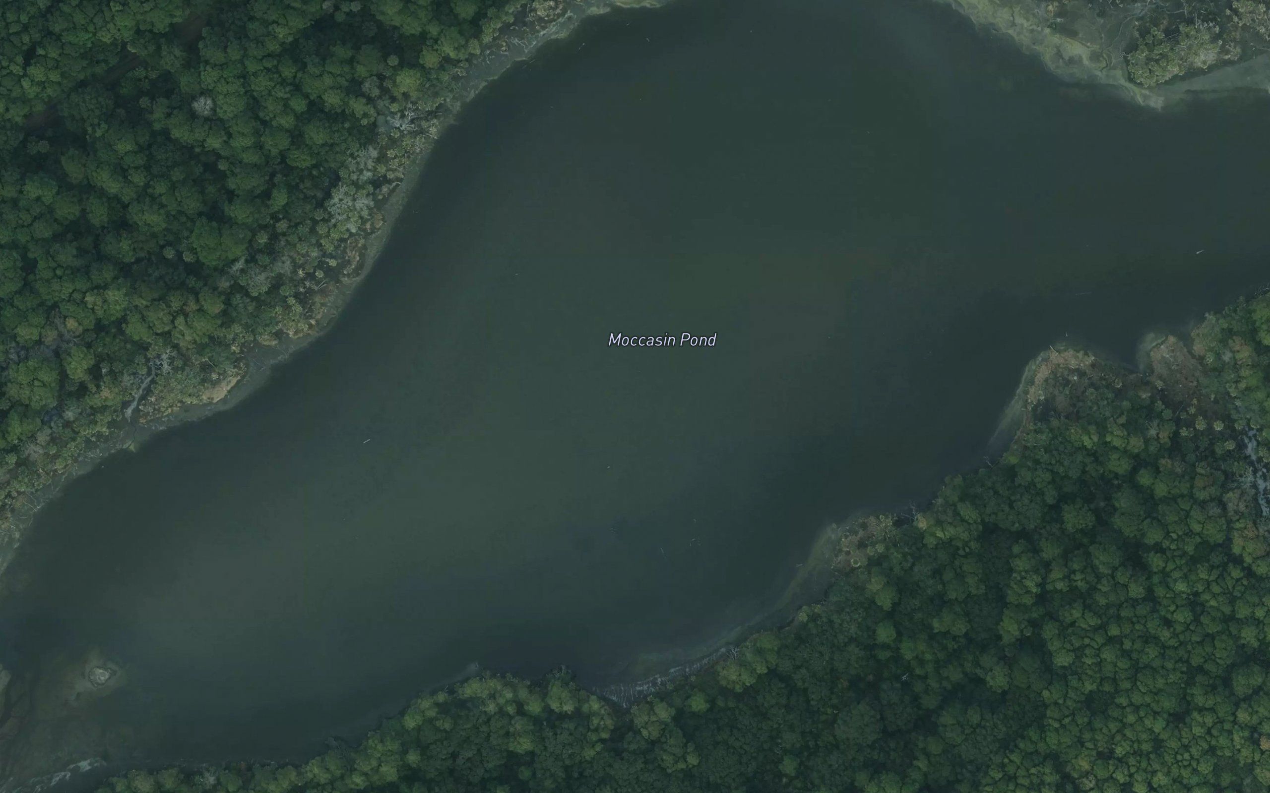 Moccasin Pond