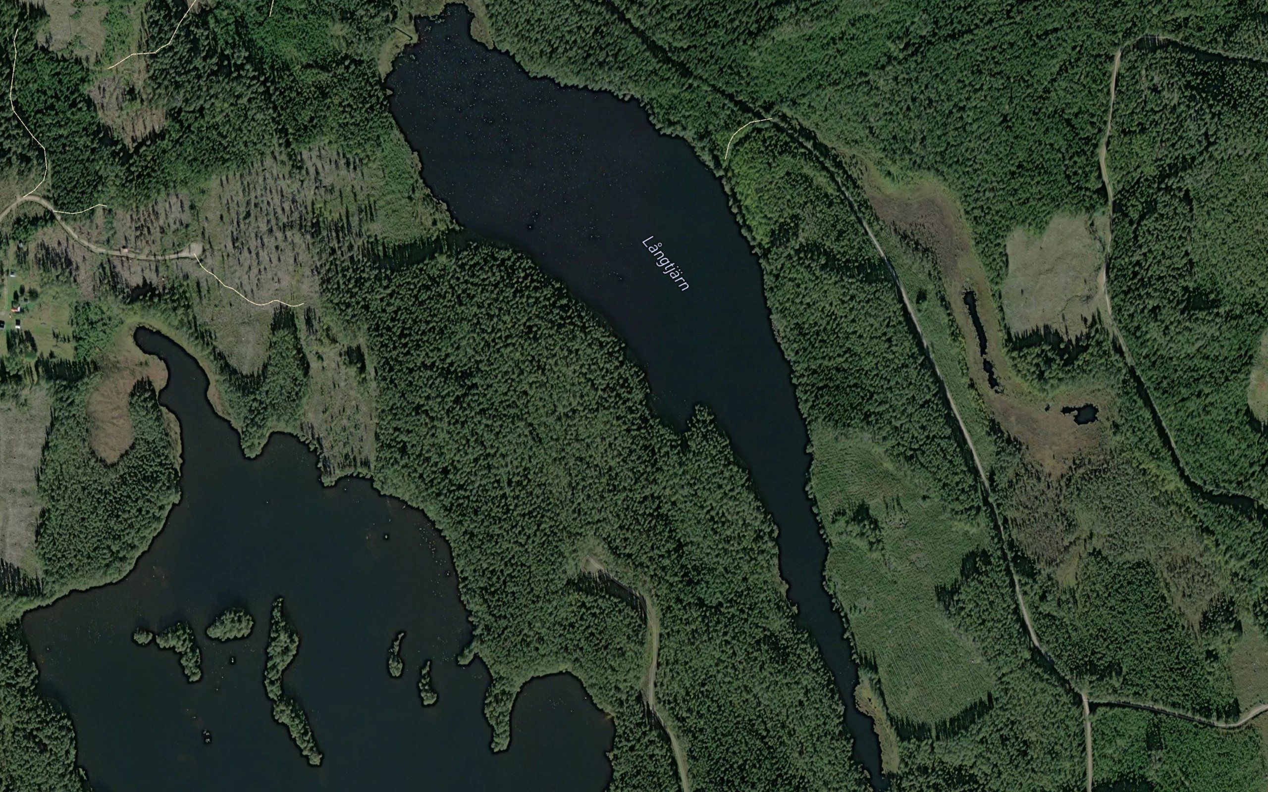 Langtjarn