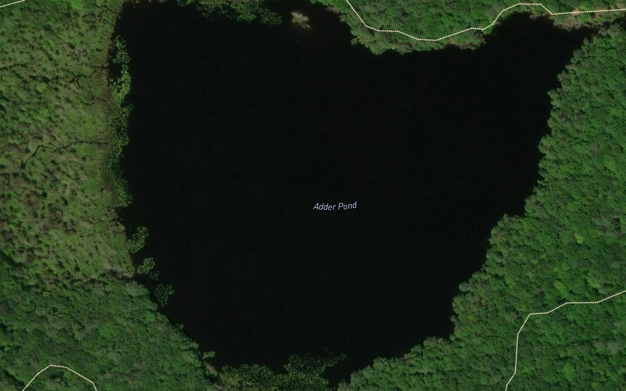 Adder Pond
