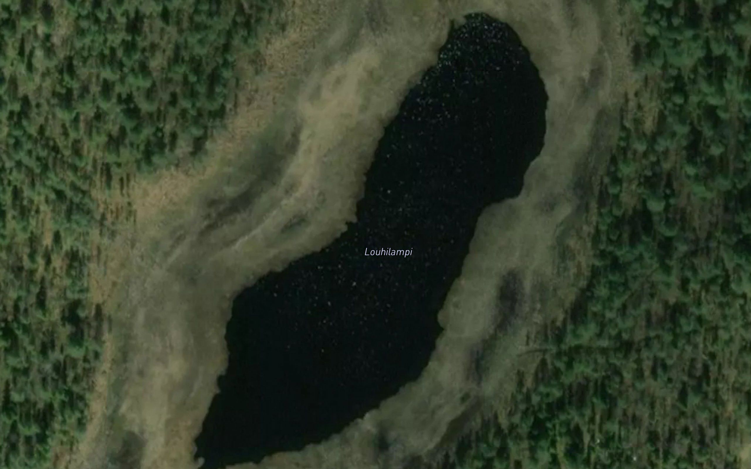 Louhilampi