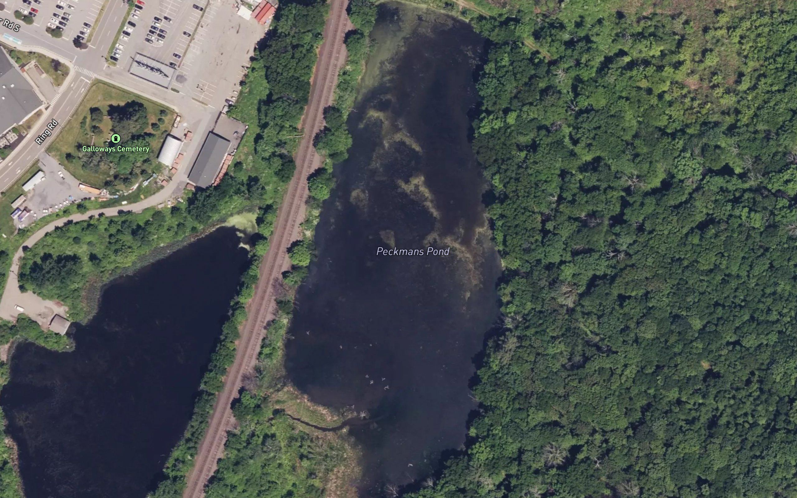 Peckermans Pond