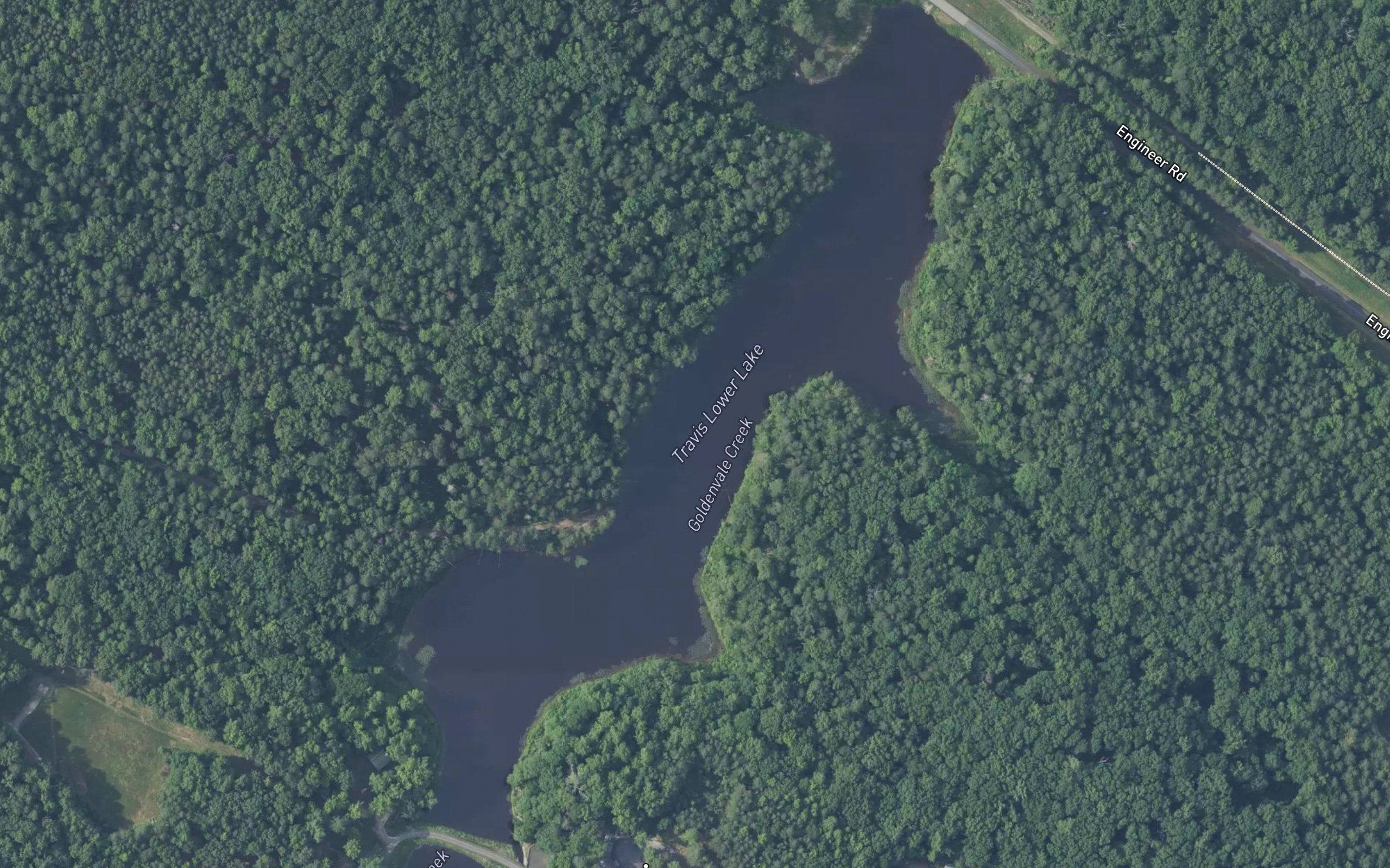Travis Lake