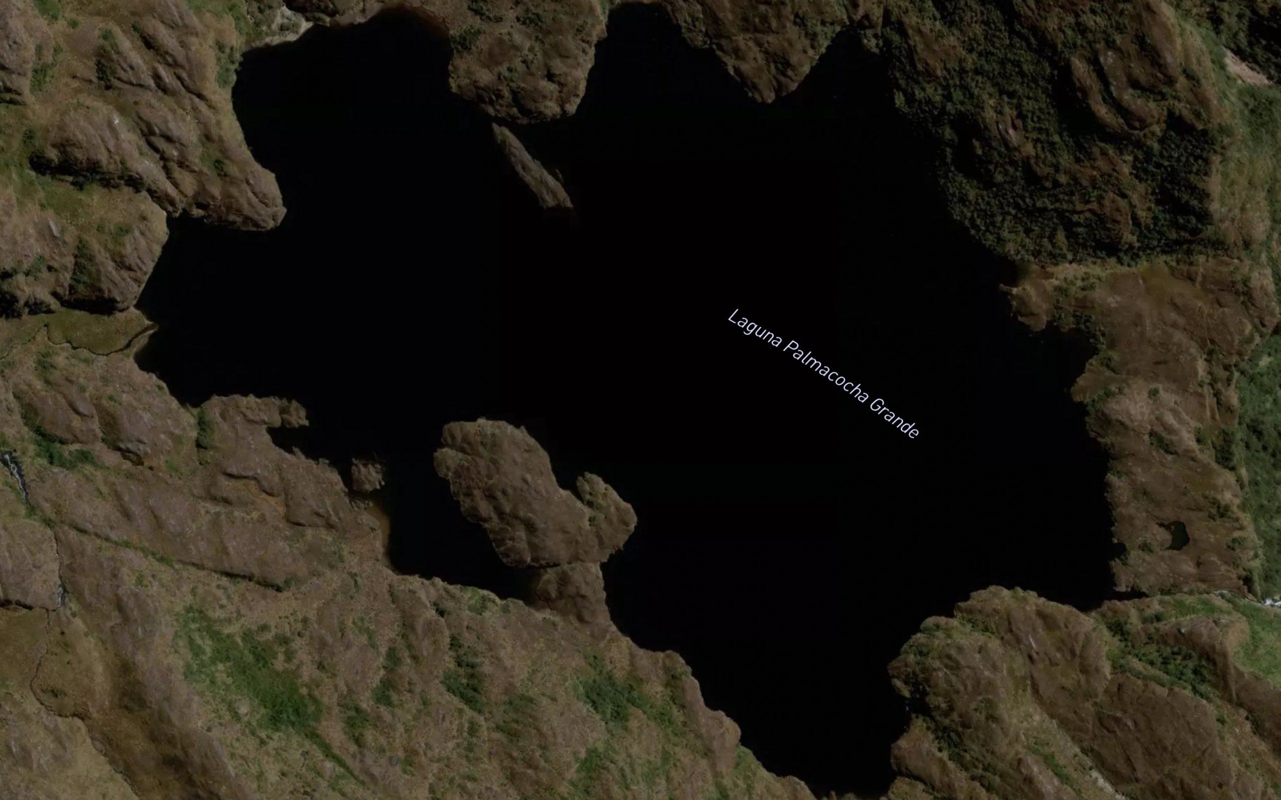 Laguna Palmacocha Grande