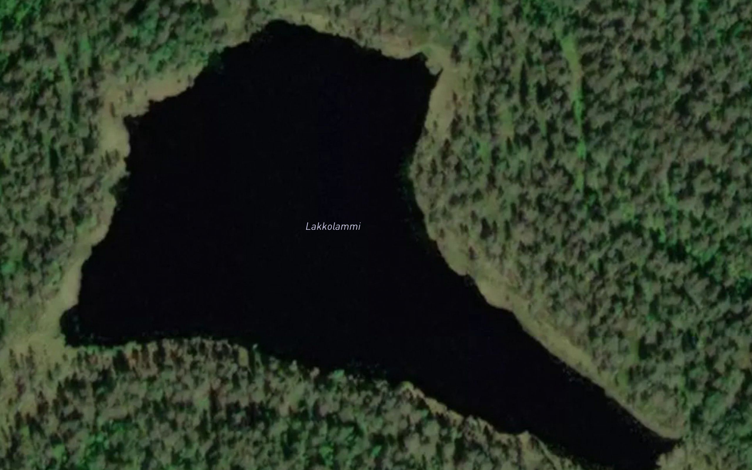 Lakkolammi