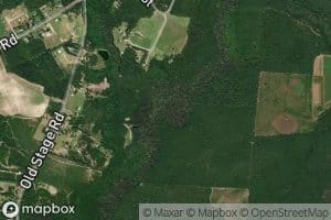 Lower Beaverdam Creek