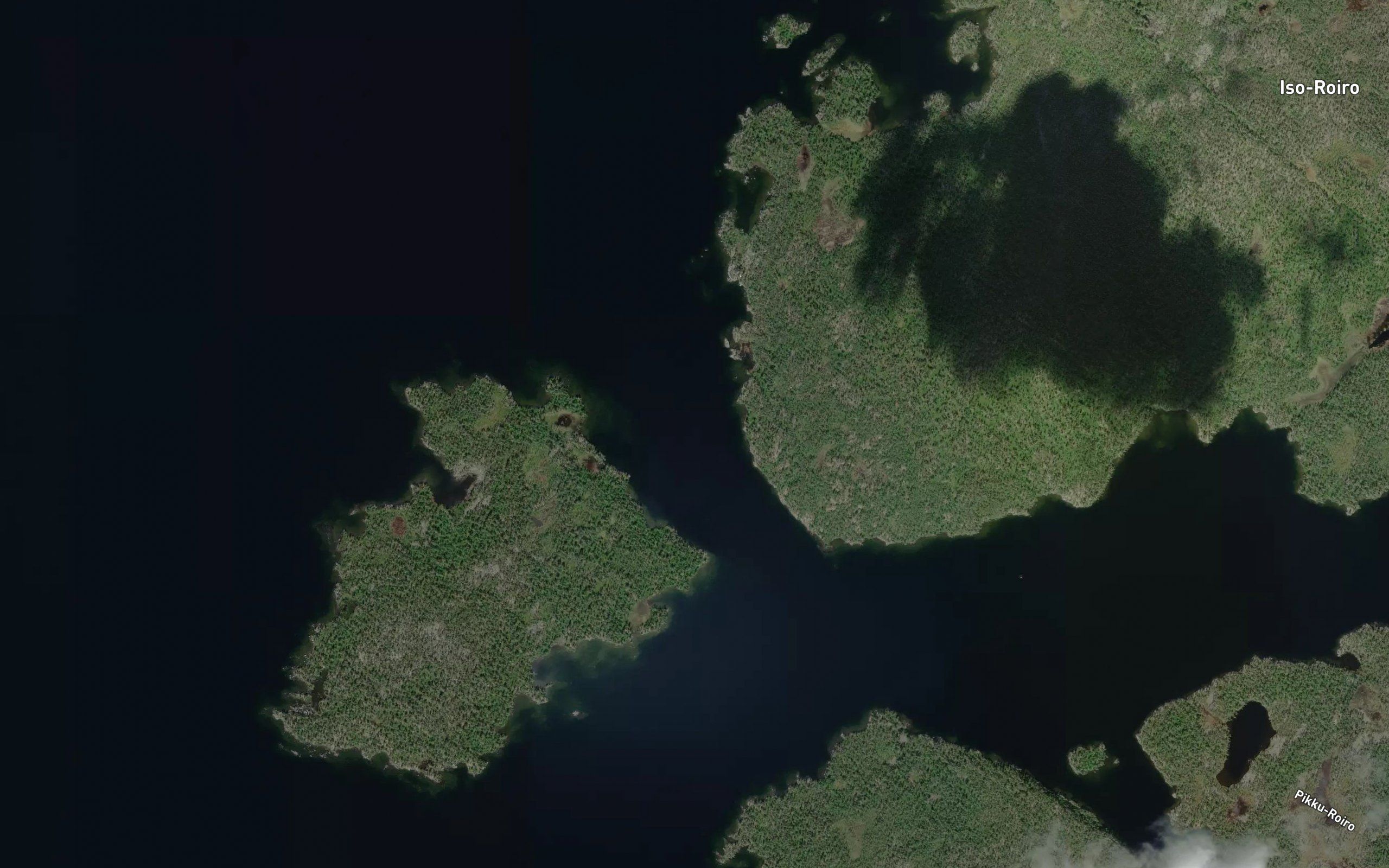 Papinsalmi