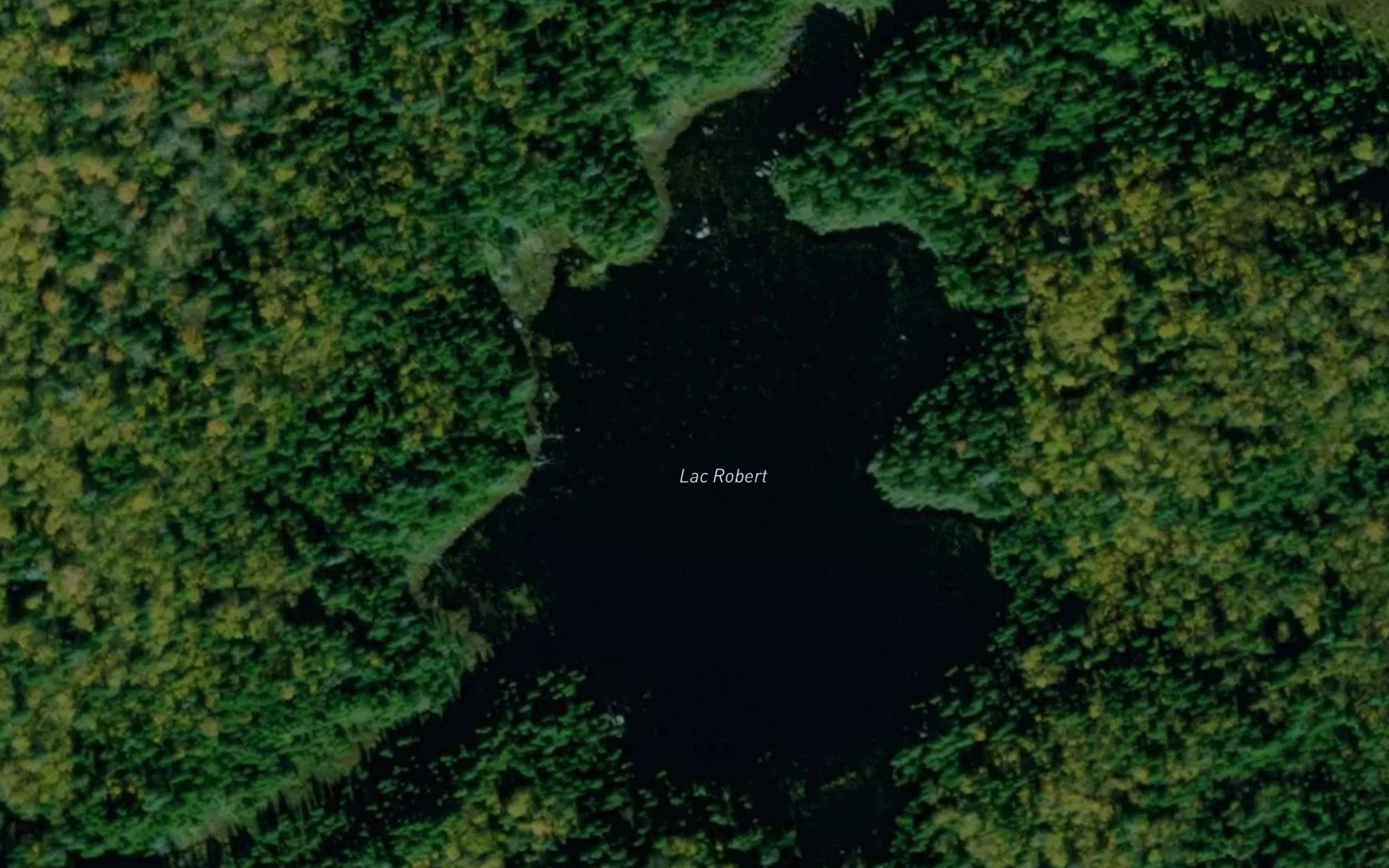 Satellite map of the Lac Robert