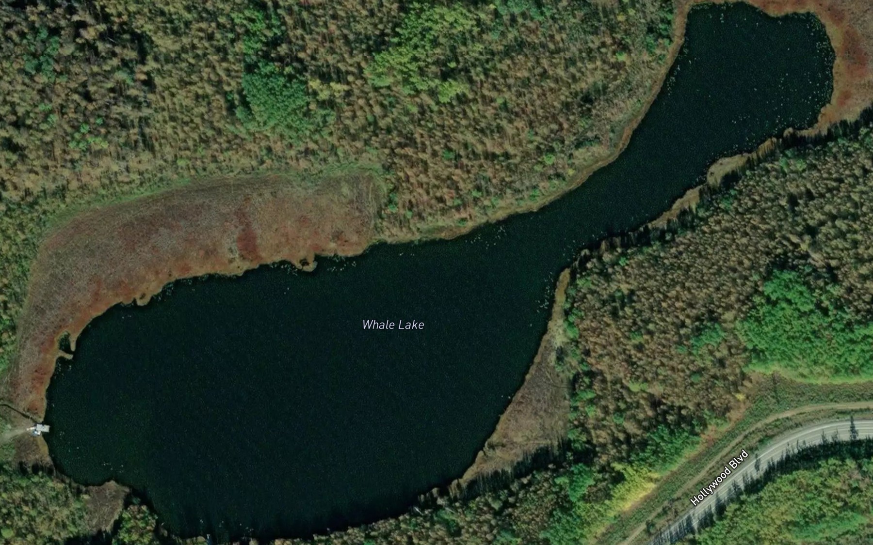 Satellite map of the Whale Lake