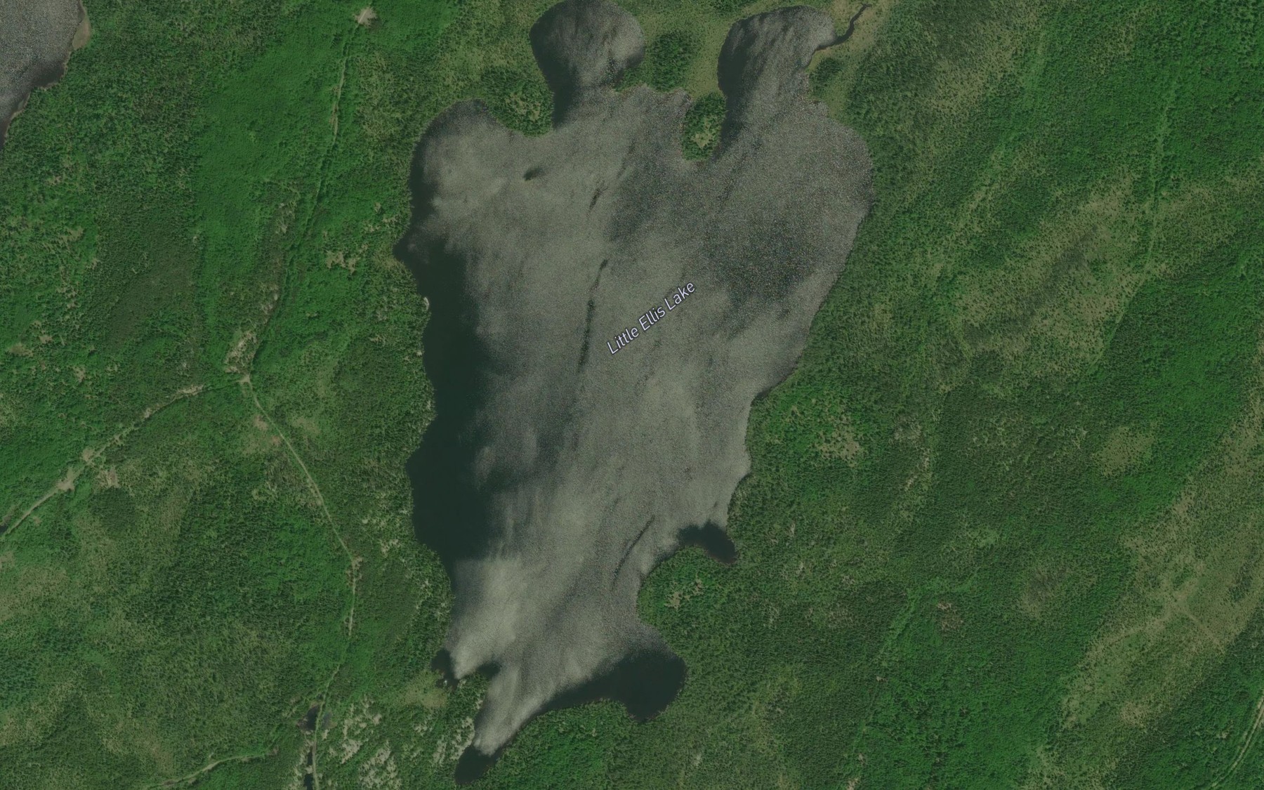 Satellite map of the Little Ellis Lake