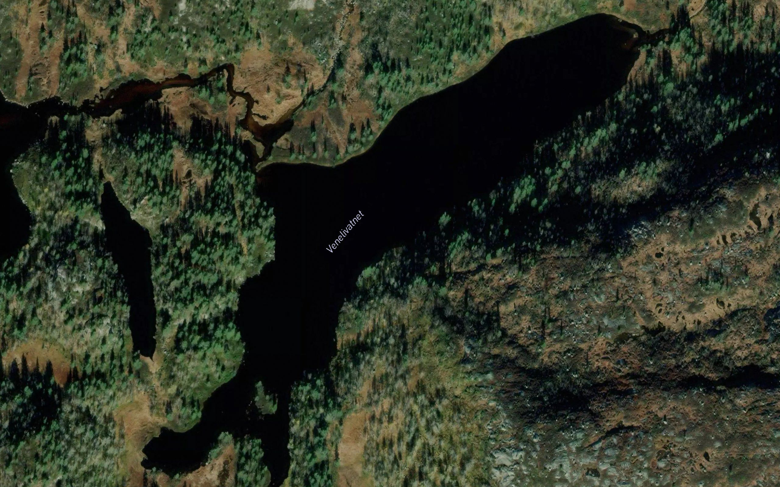 Venelivatnet