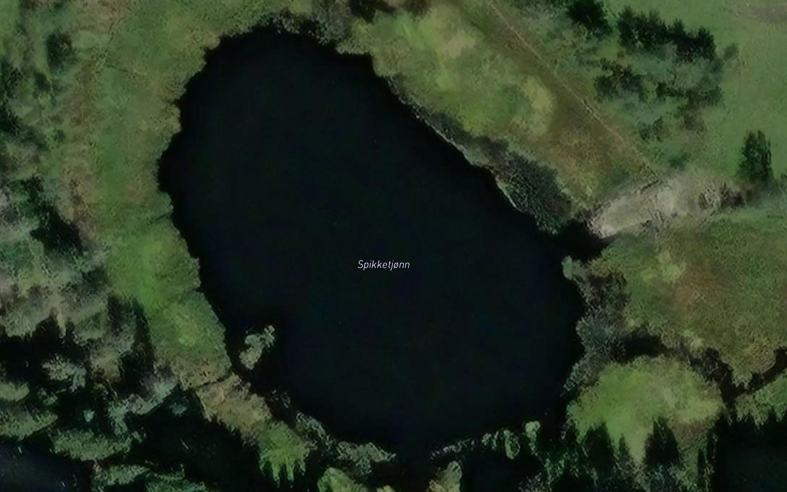 Spikketjonn
