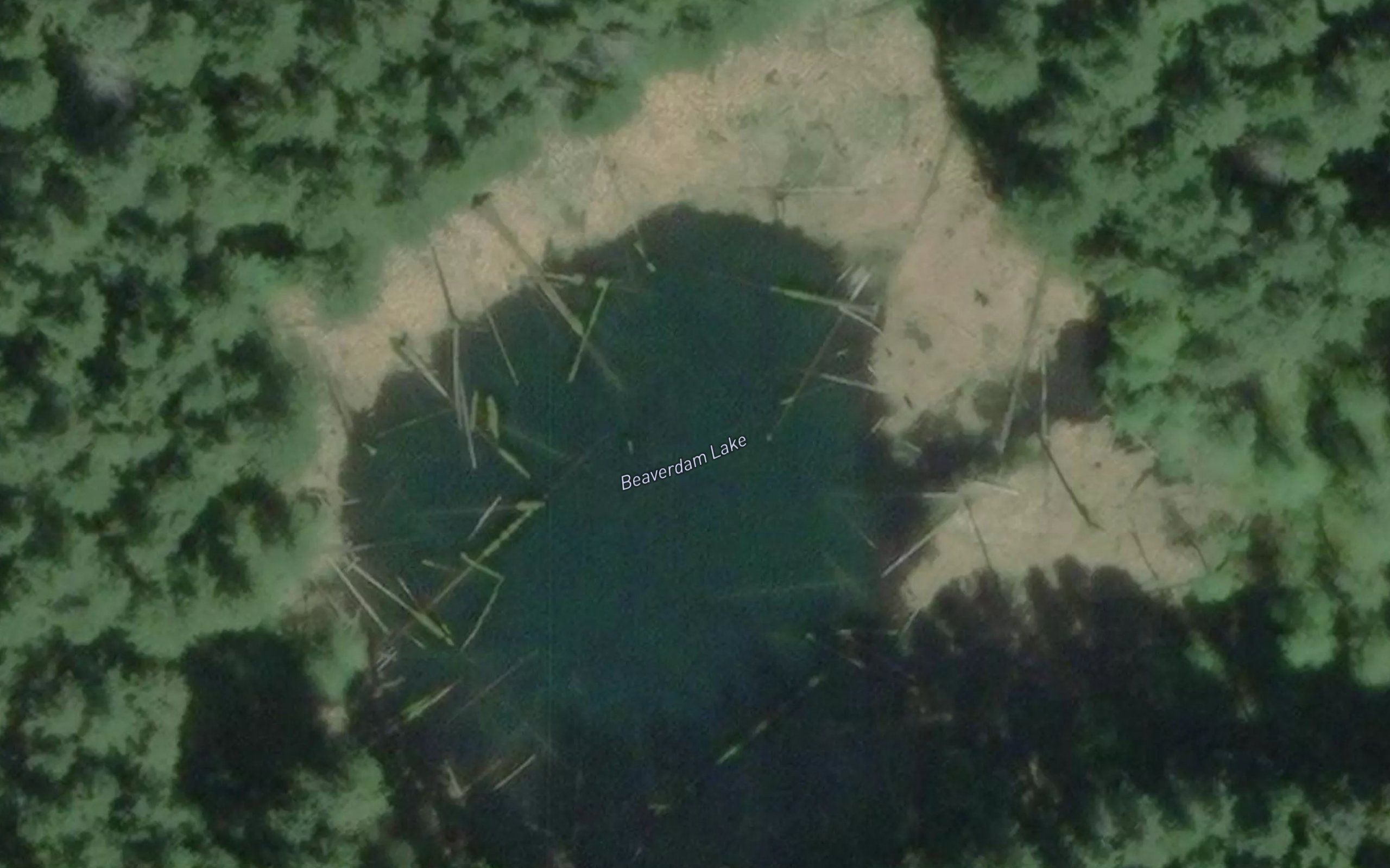 Beaverdam Lake