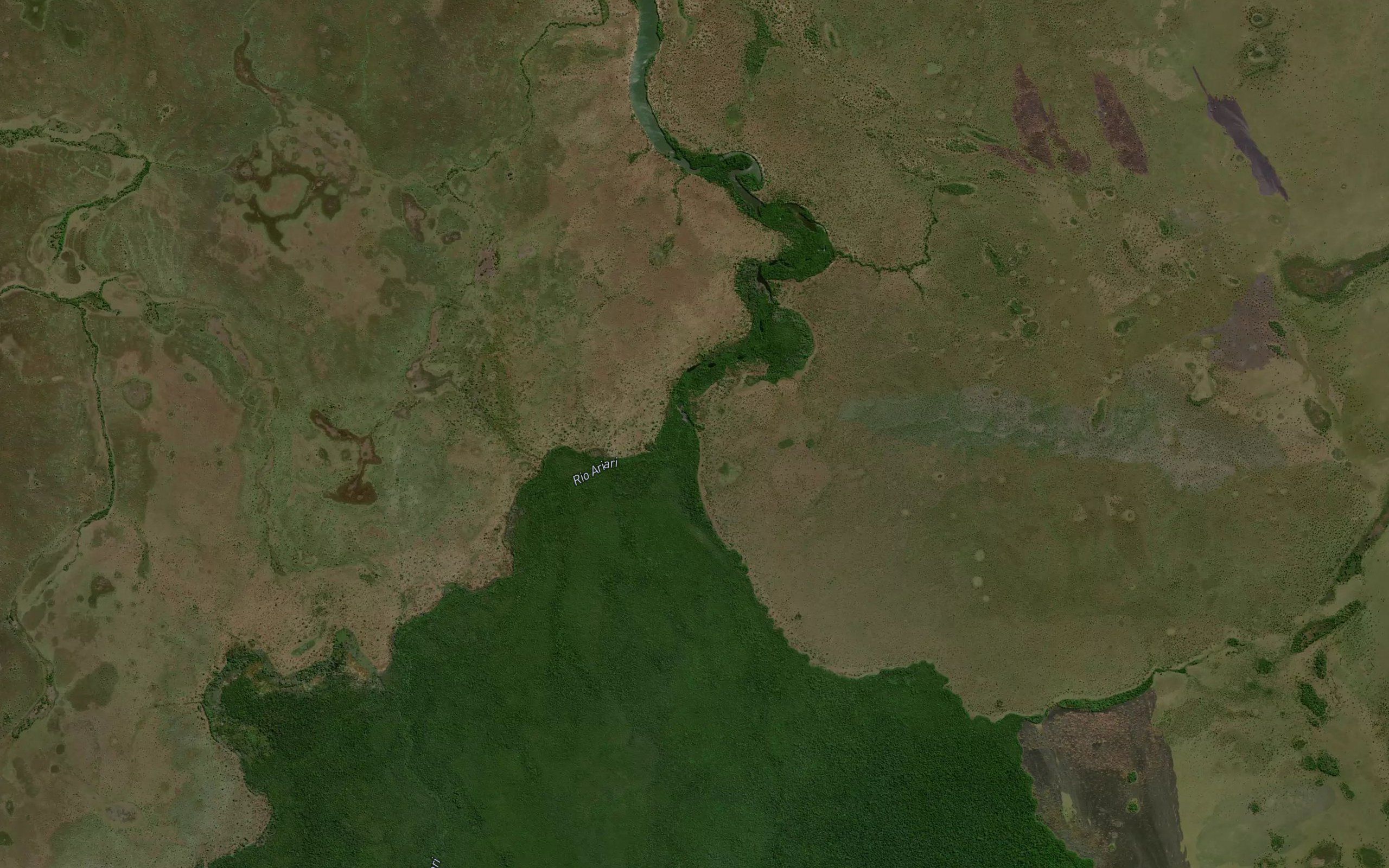 Ipuca da Mata