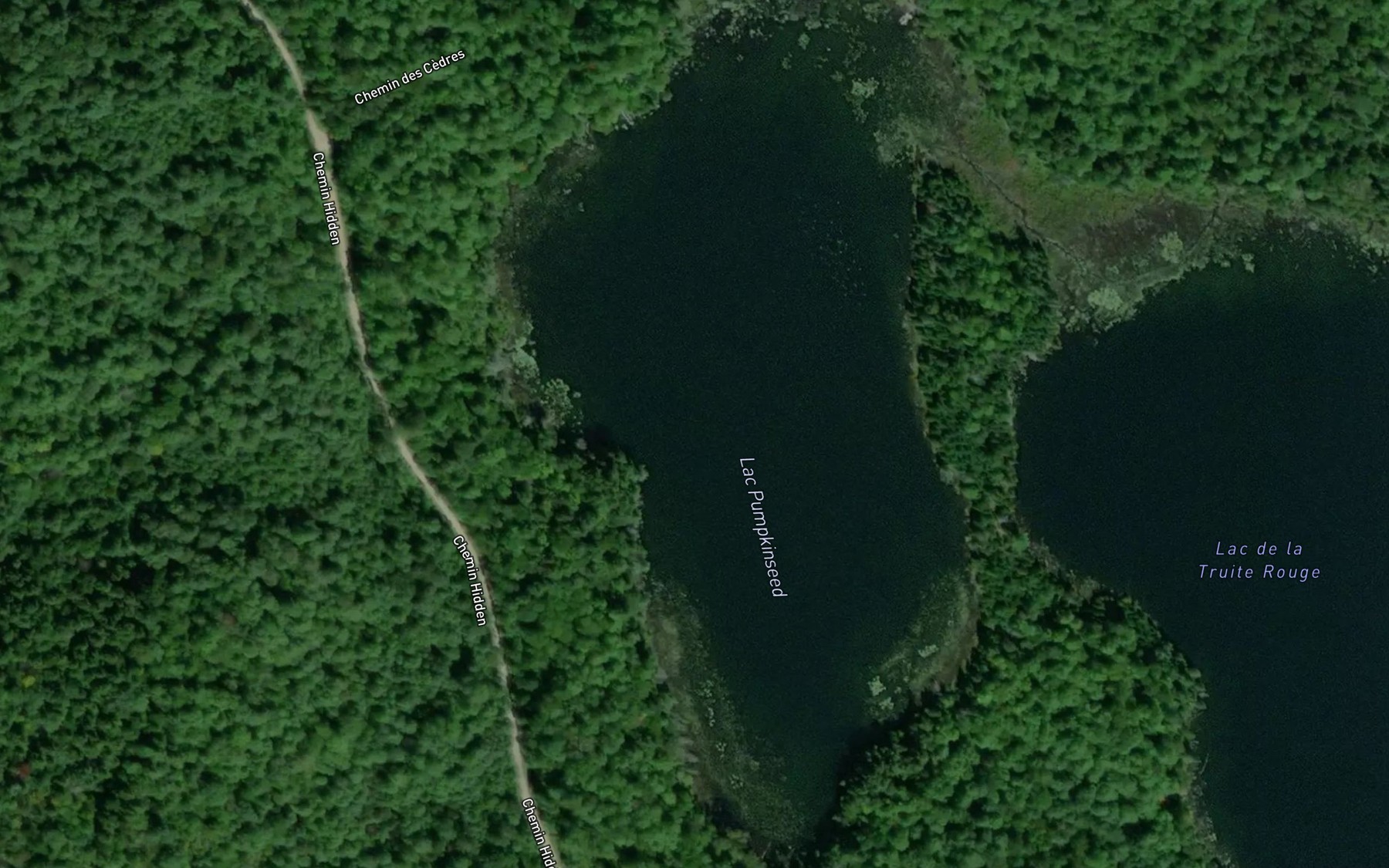 Satellite map of the Lac Pumpkinseed
