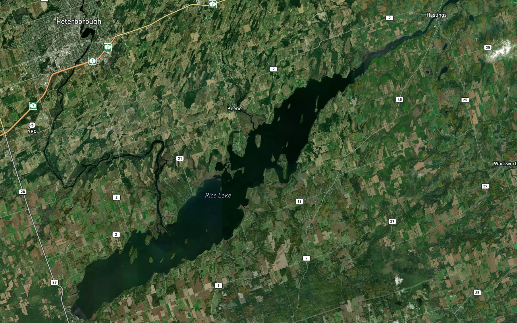 Satellite map of the Rice Lake