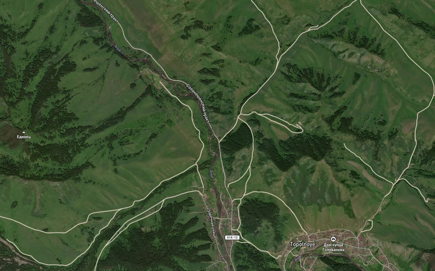 Satellite map of the Svetlyy