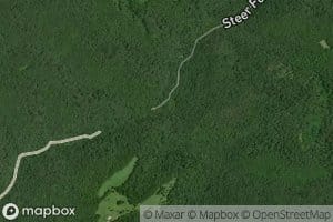 Steer Fork