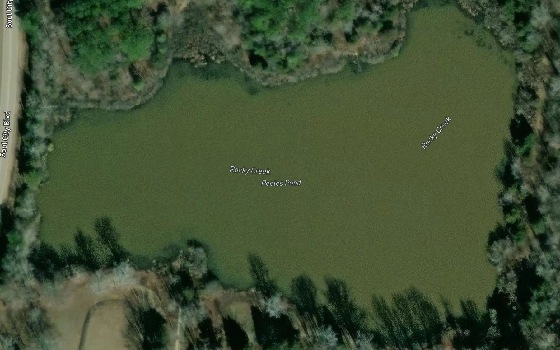 Satellite map of the Peetes Pond