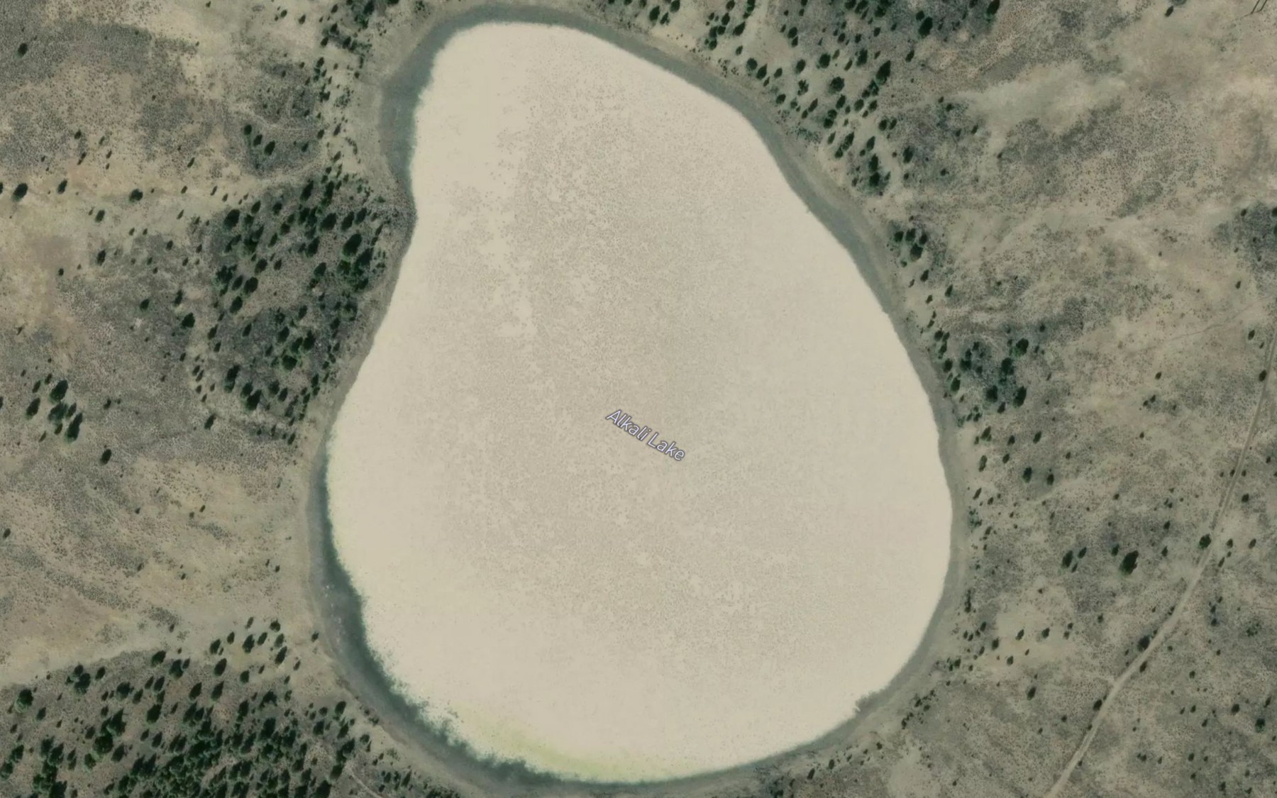 Satellite map of the Alkali Lake