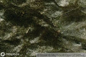 Deer Springs