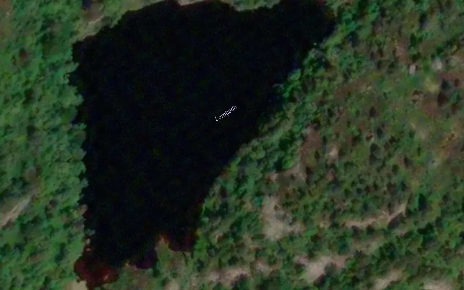Satellite map of the Lomtjorn