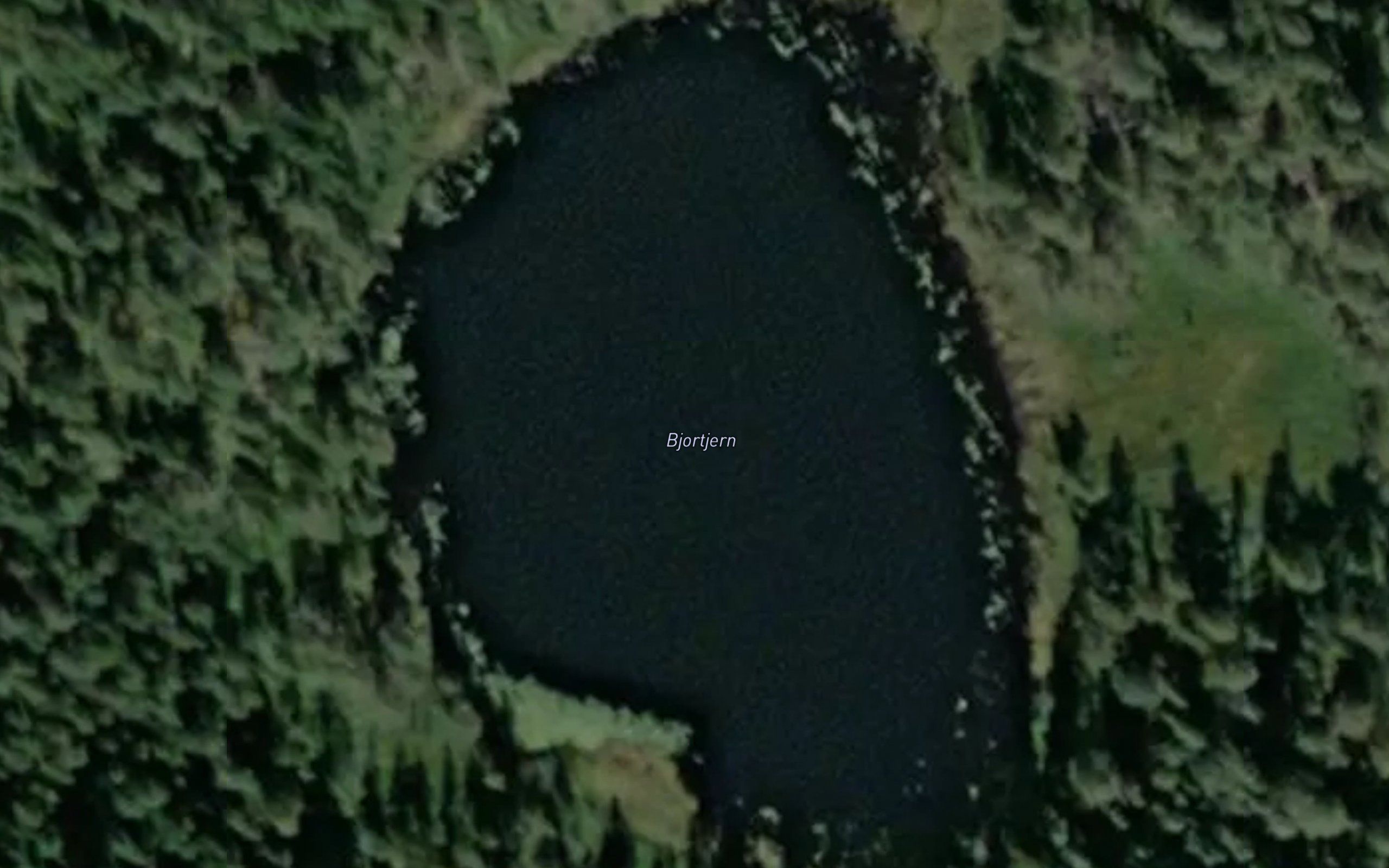 Bjortjern