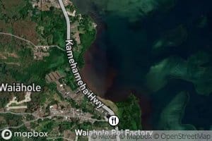 Waiahole Stream