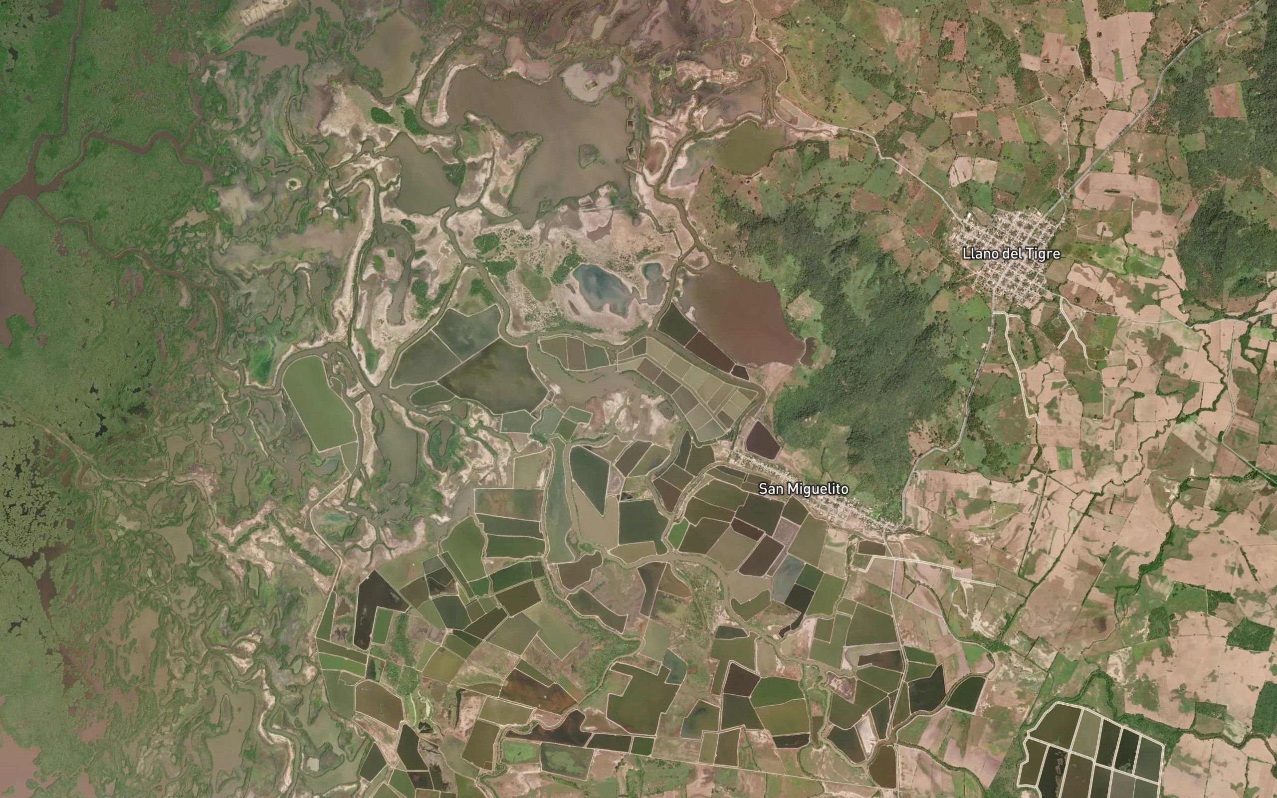 Estero El Rodeo