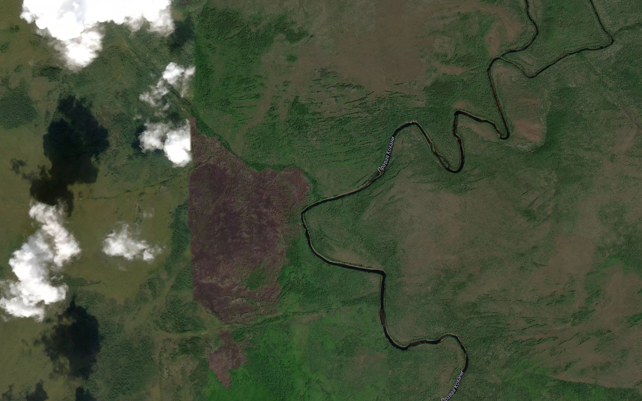 Kavakta