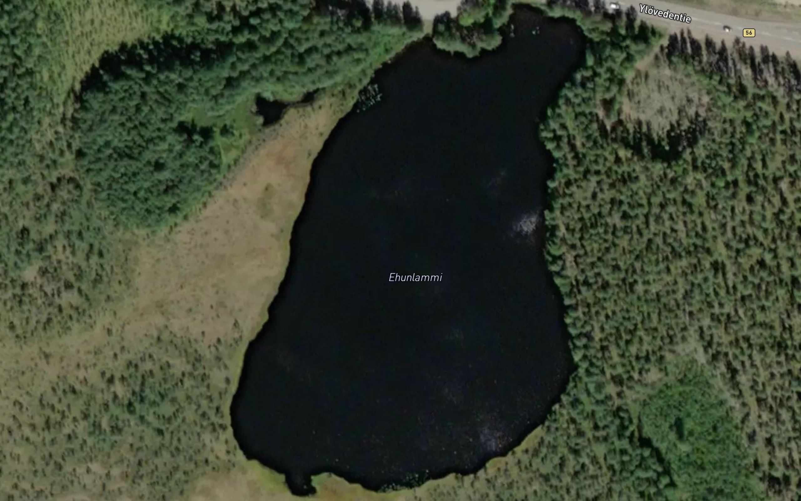 Ehunlammi