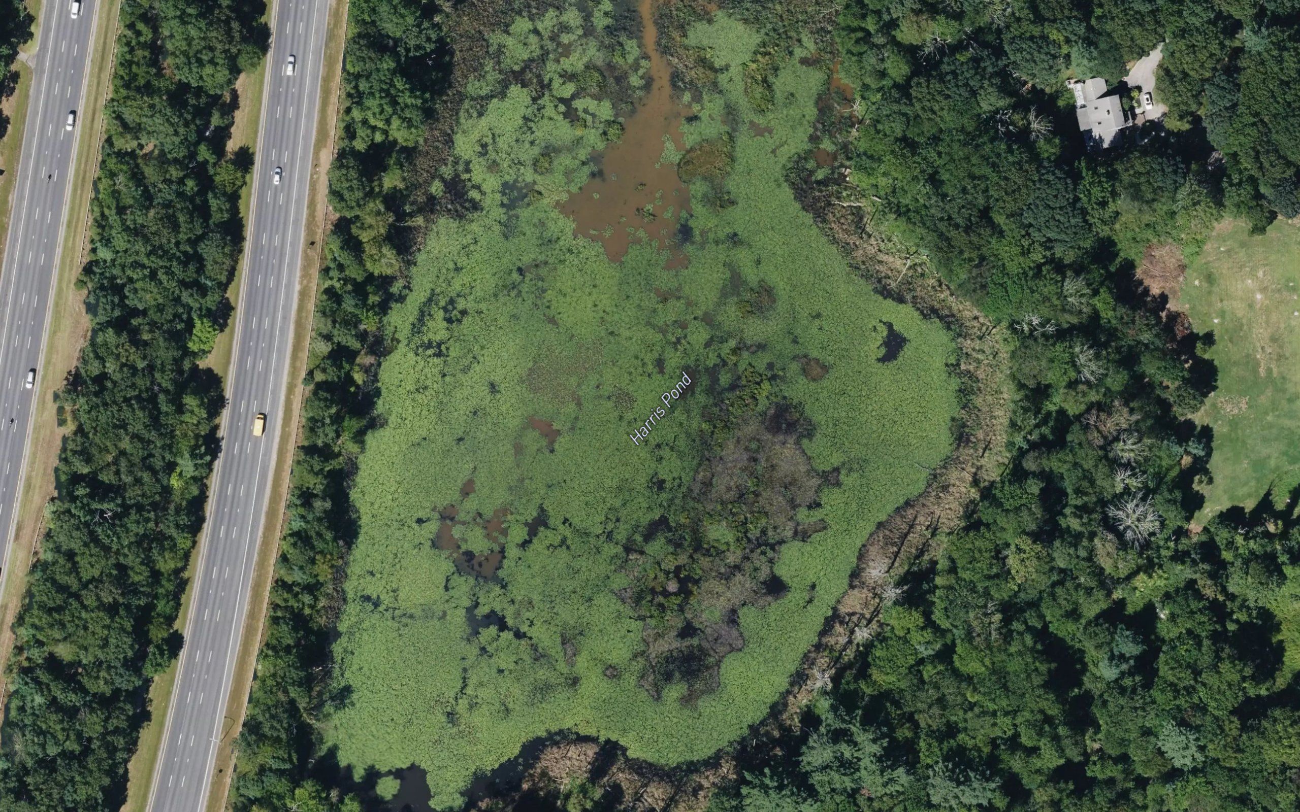 Harris Pond