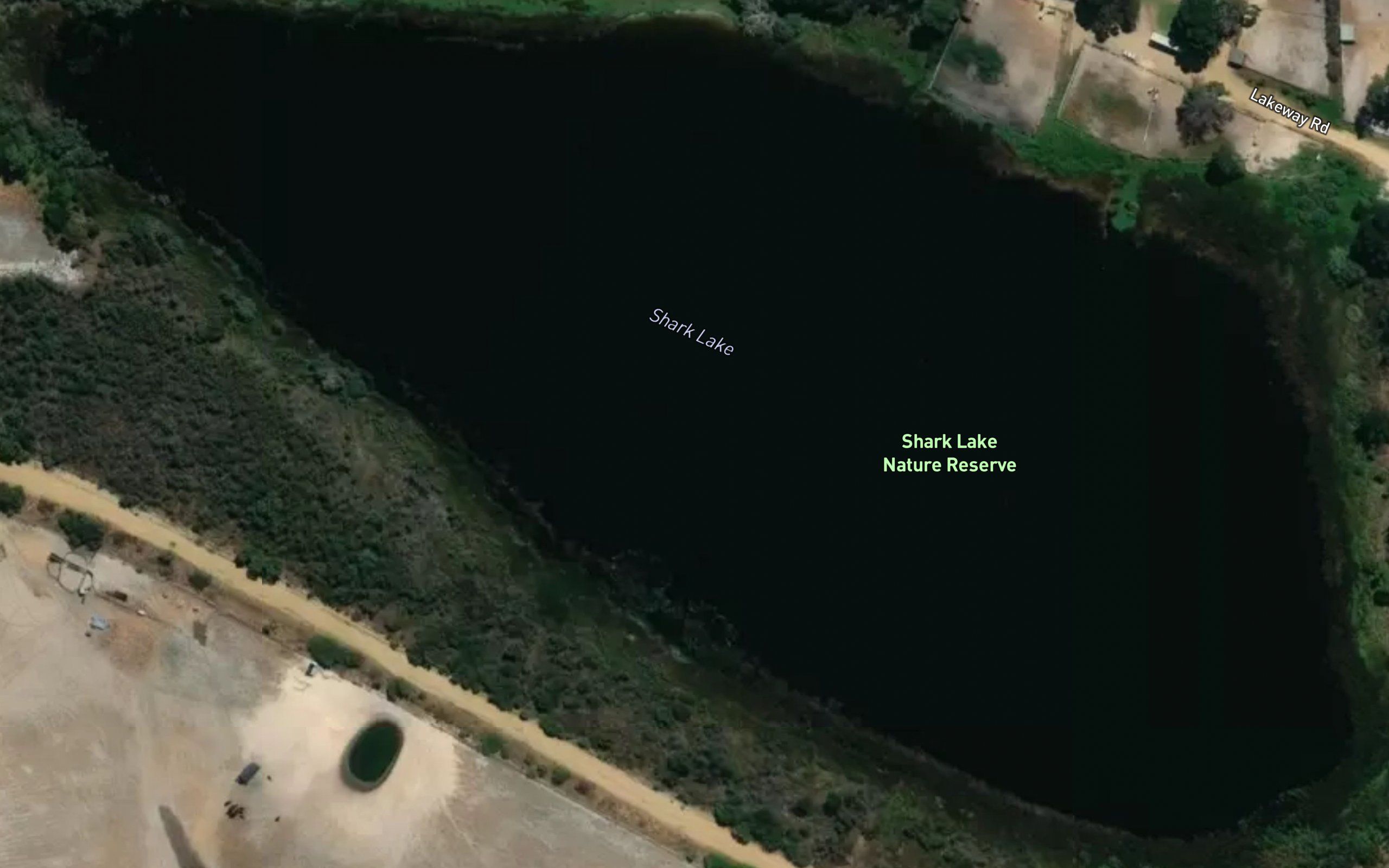 Shark Lake