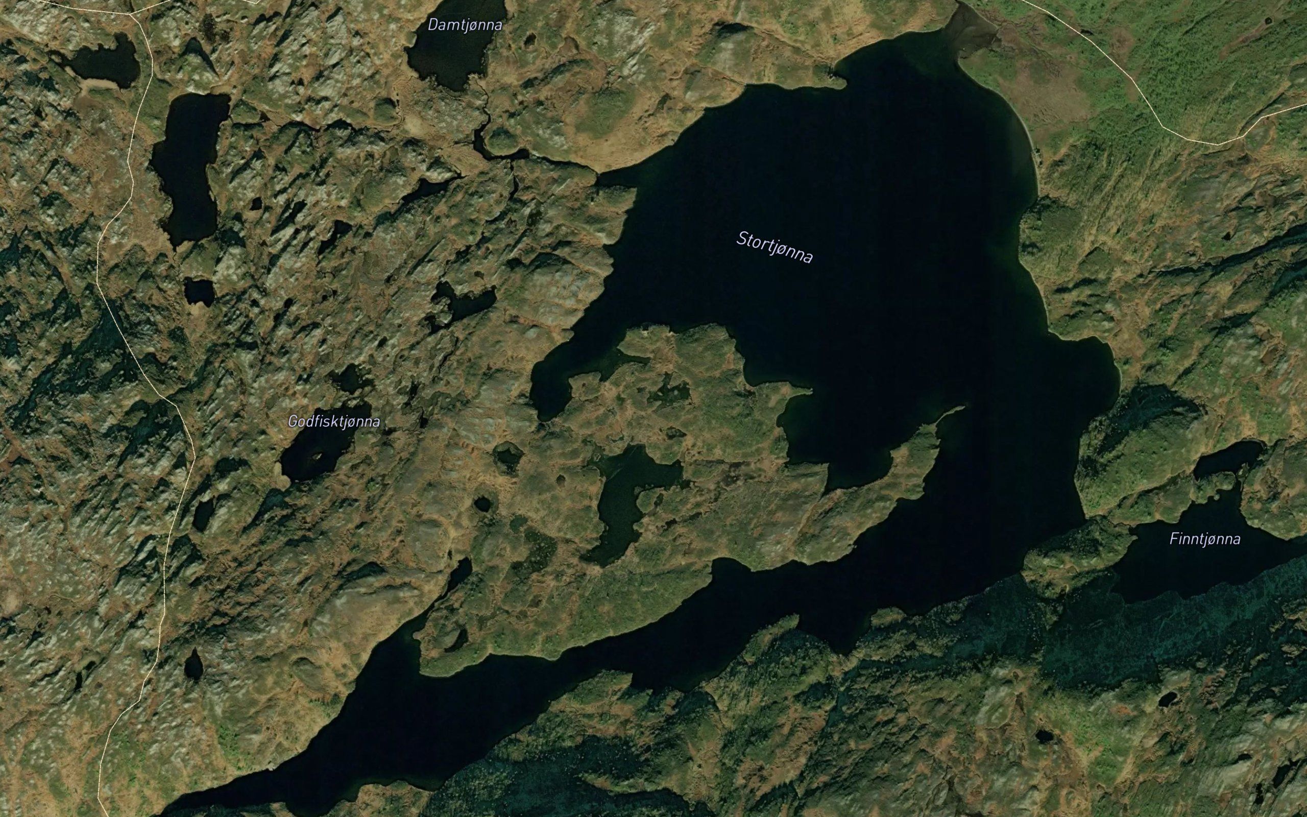 Stortjonna