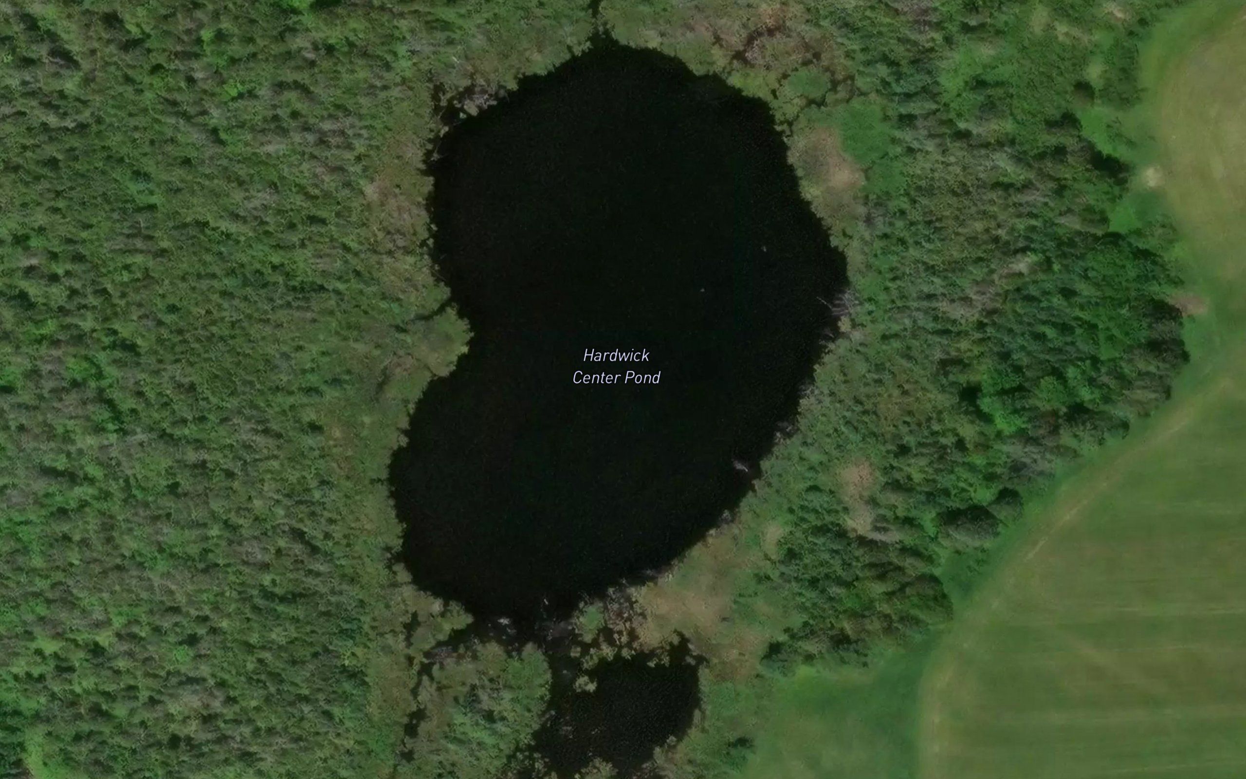 Hardwick Center Pond