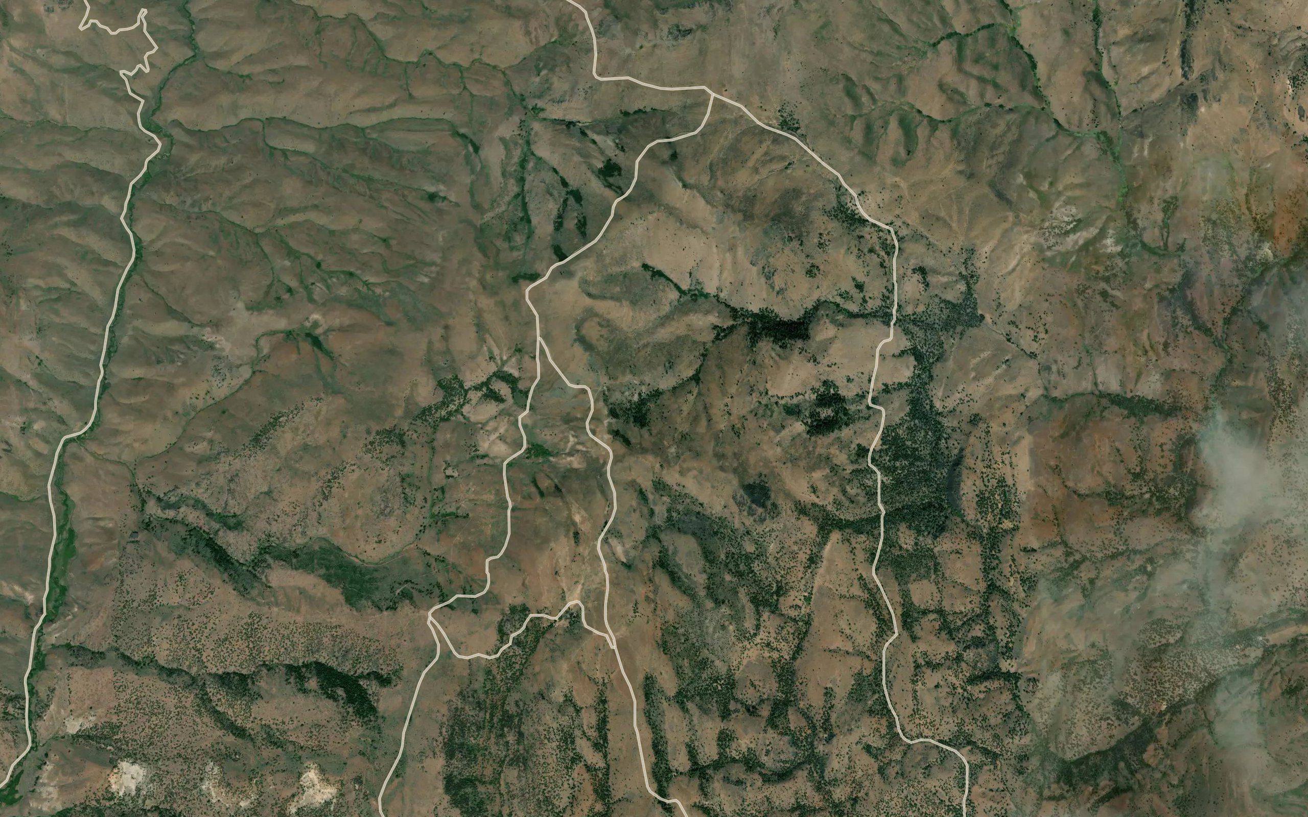Whisky Gulch Springs