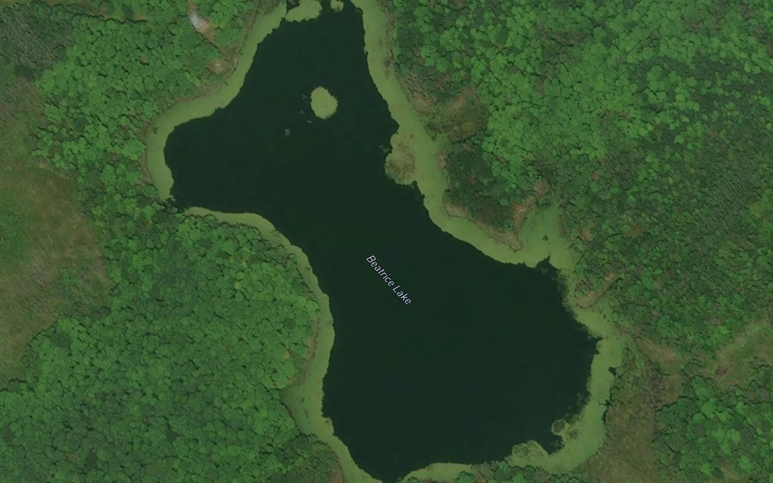 Beatrice Lake