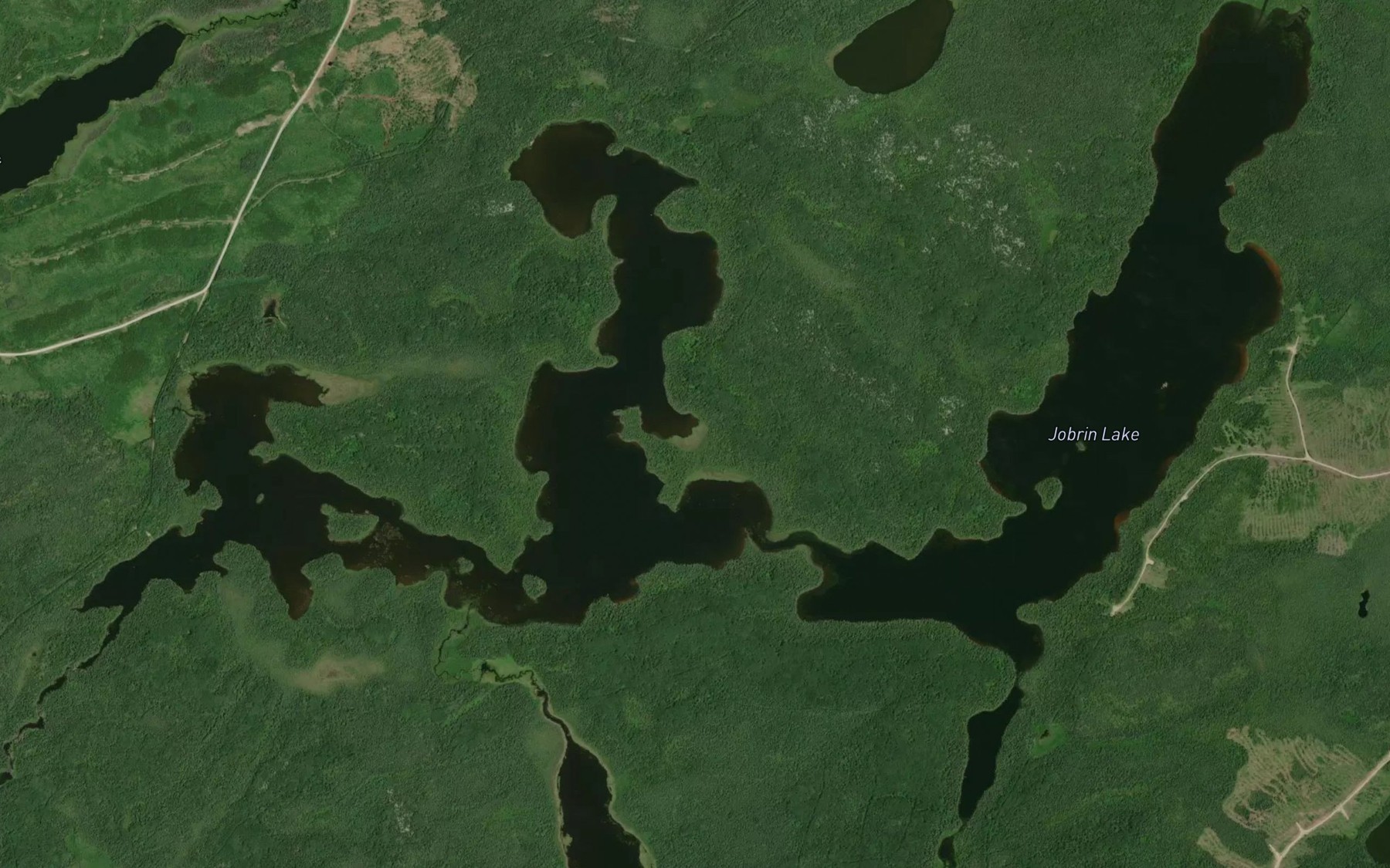 Satellite map of the Jobrin Lake