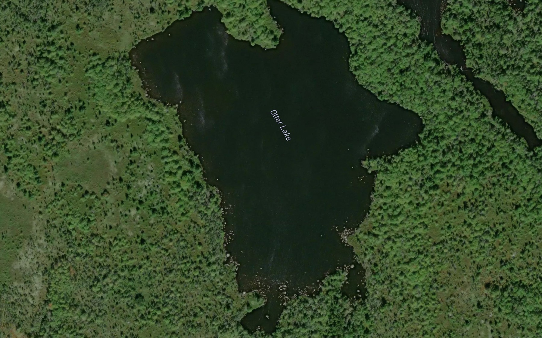 Satellite map of the Otter Lake