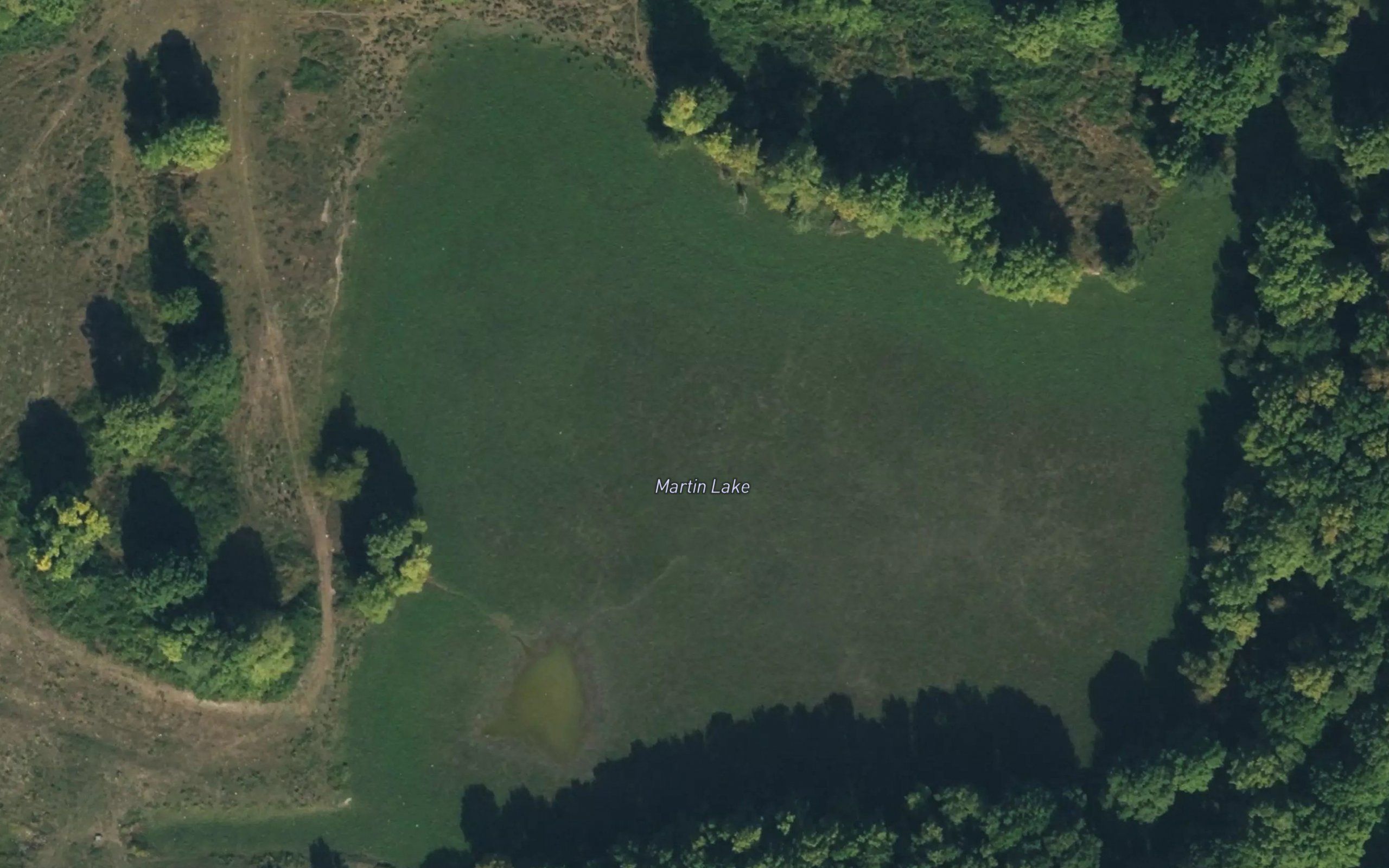 Martin Lake