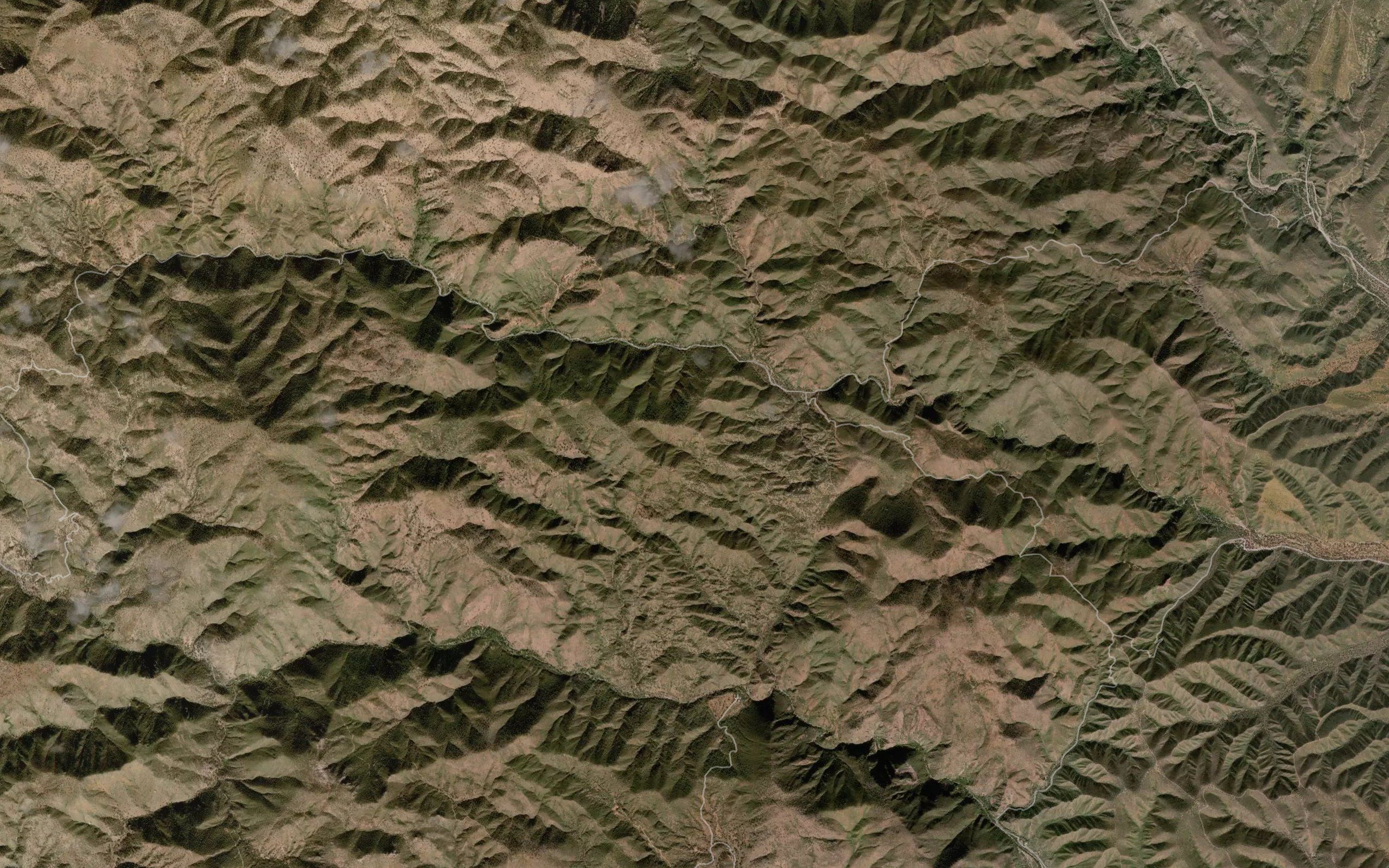 Canada Sahuarito