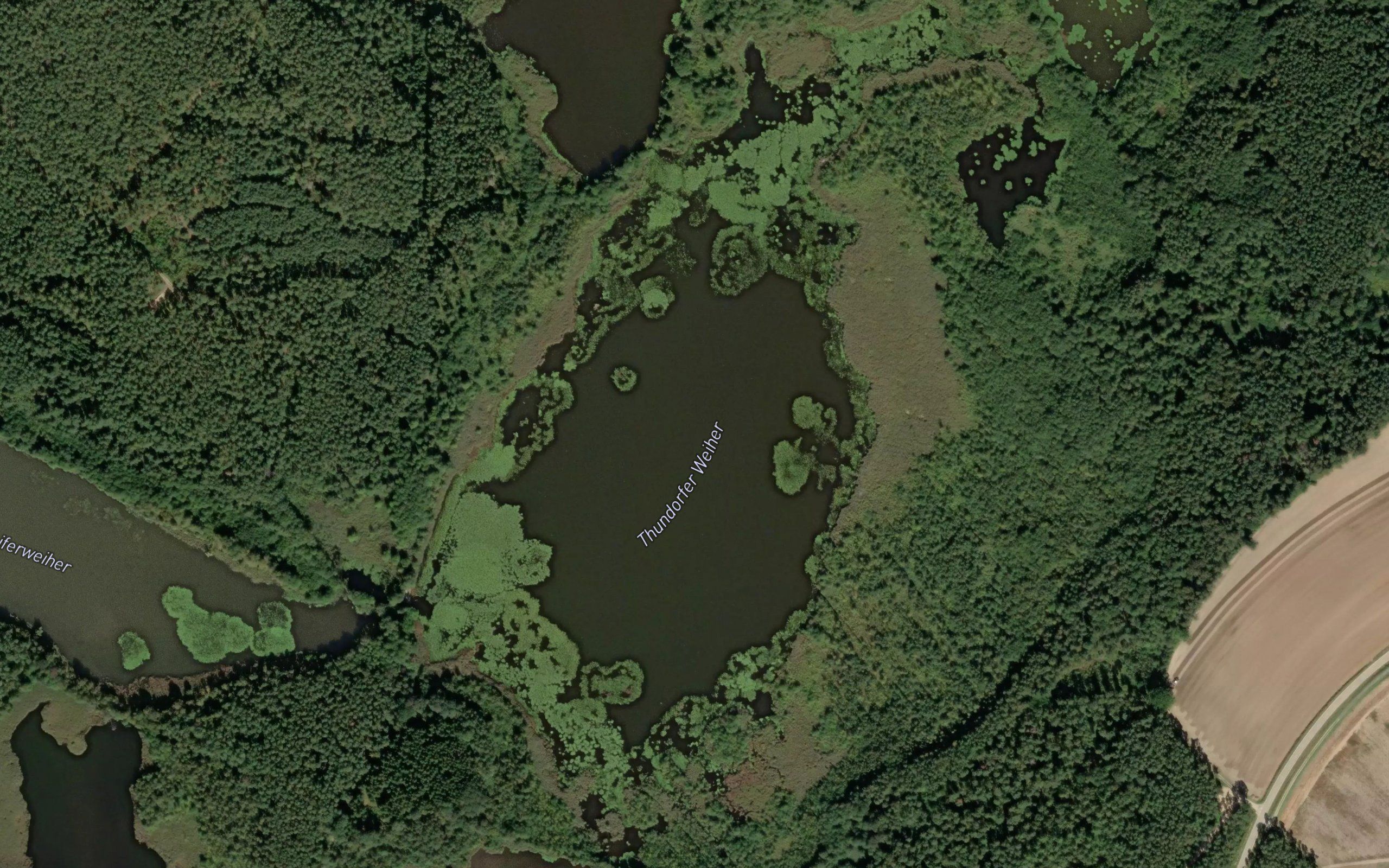 Thundorfer Weiher
