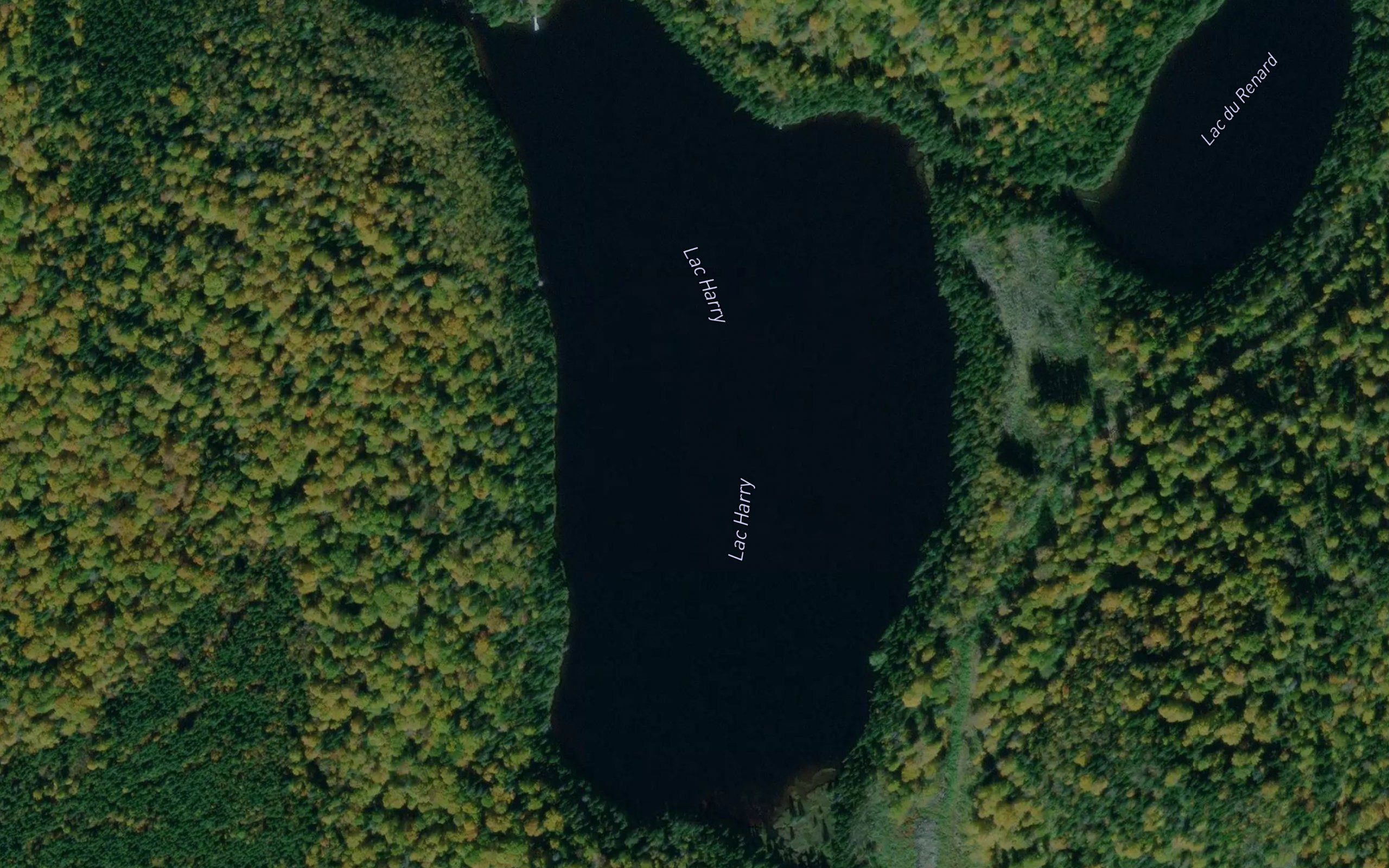 Lac Harry