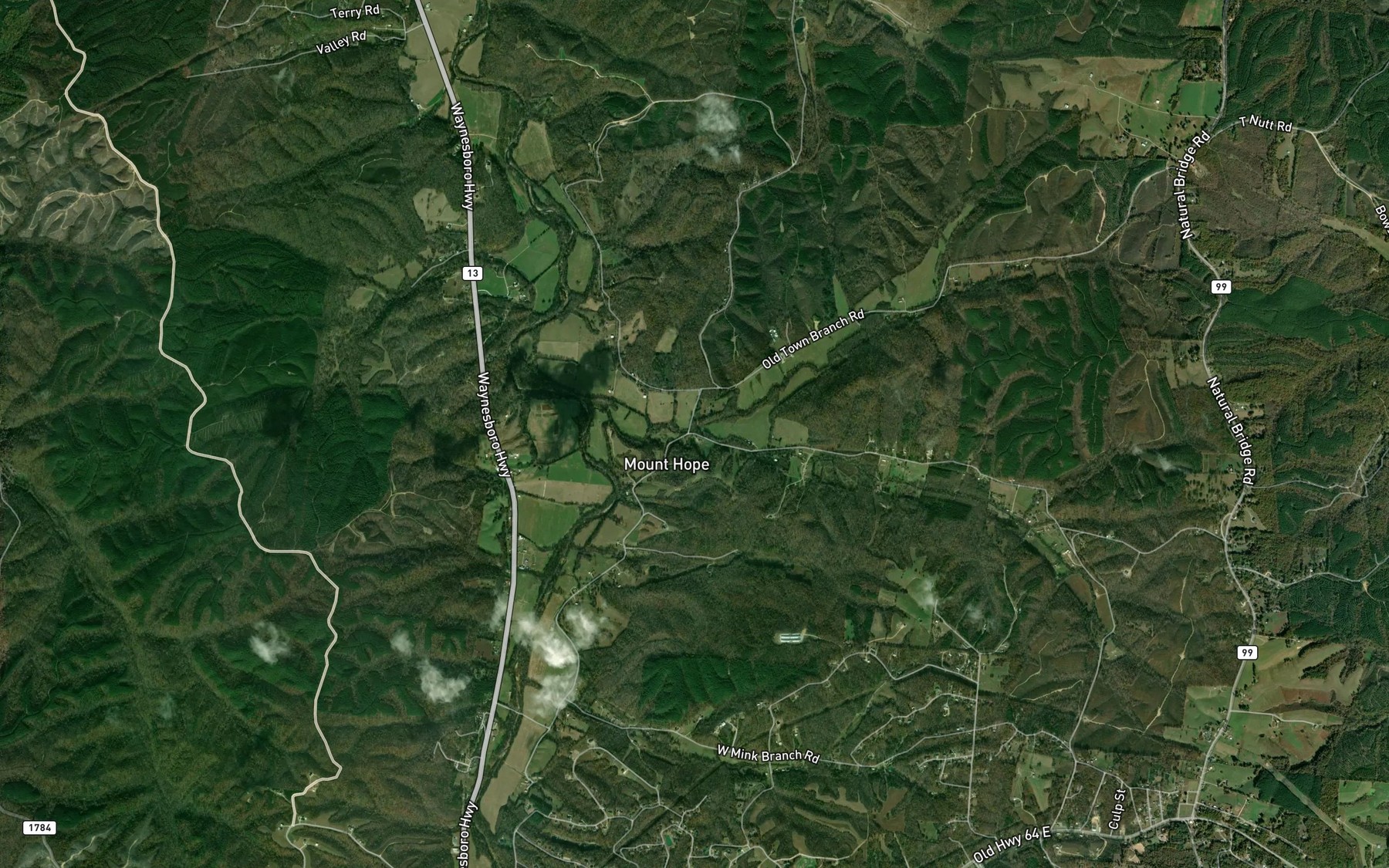 Satellite map of the Oldtown Branch