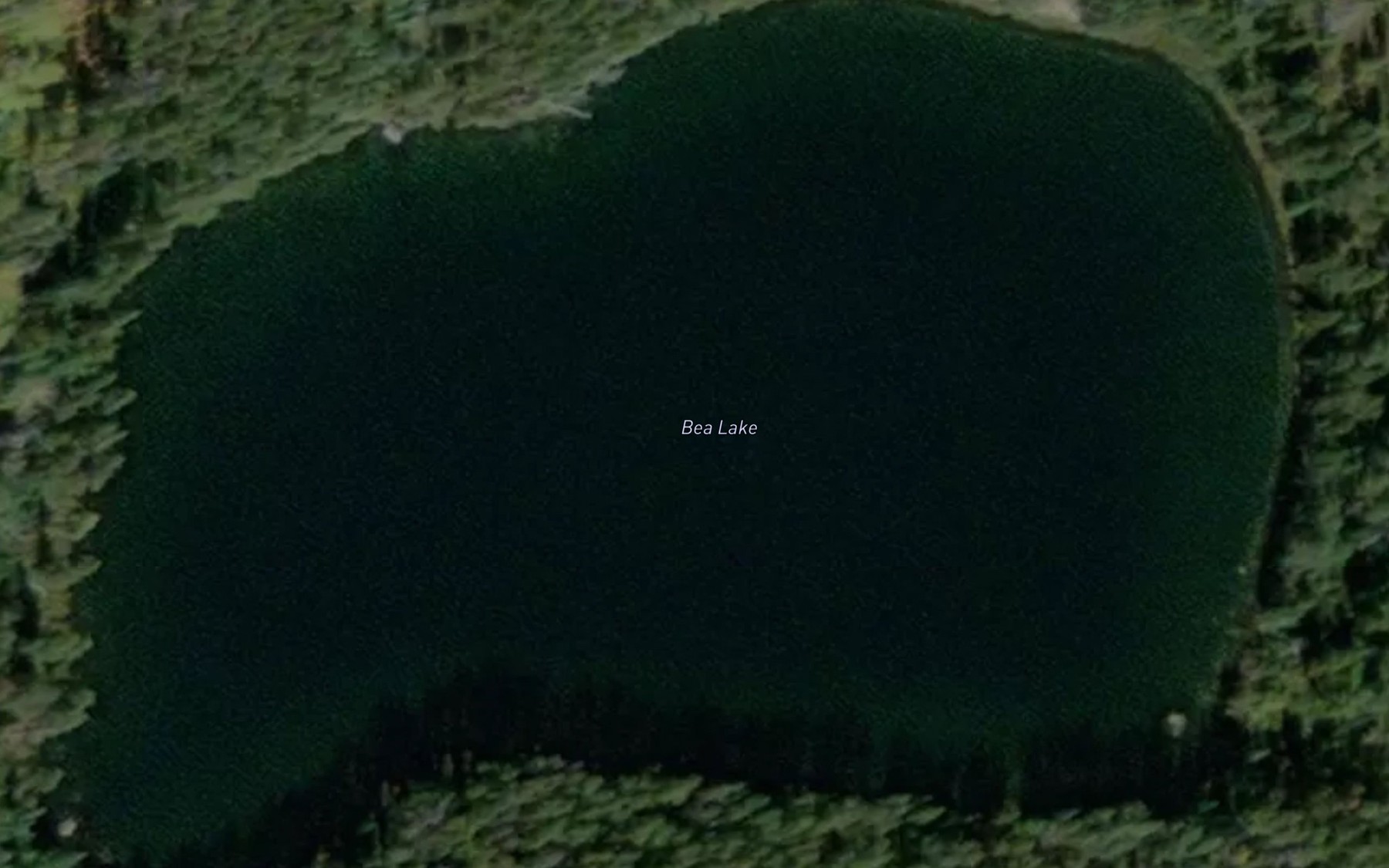 Satellite map of the Bea Lake