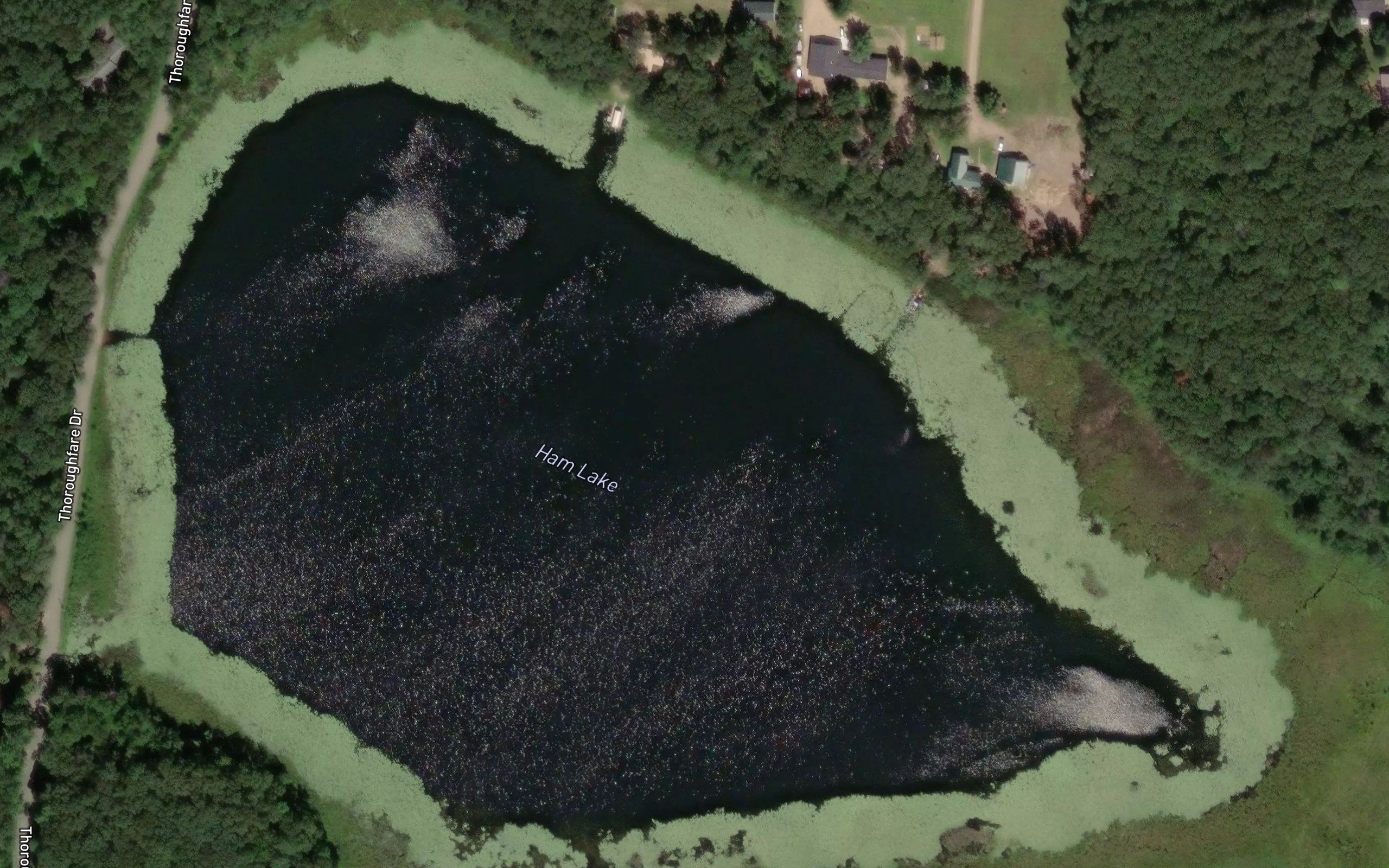 Ham Lake