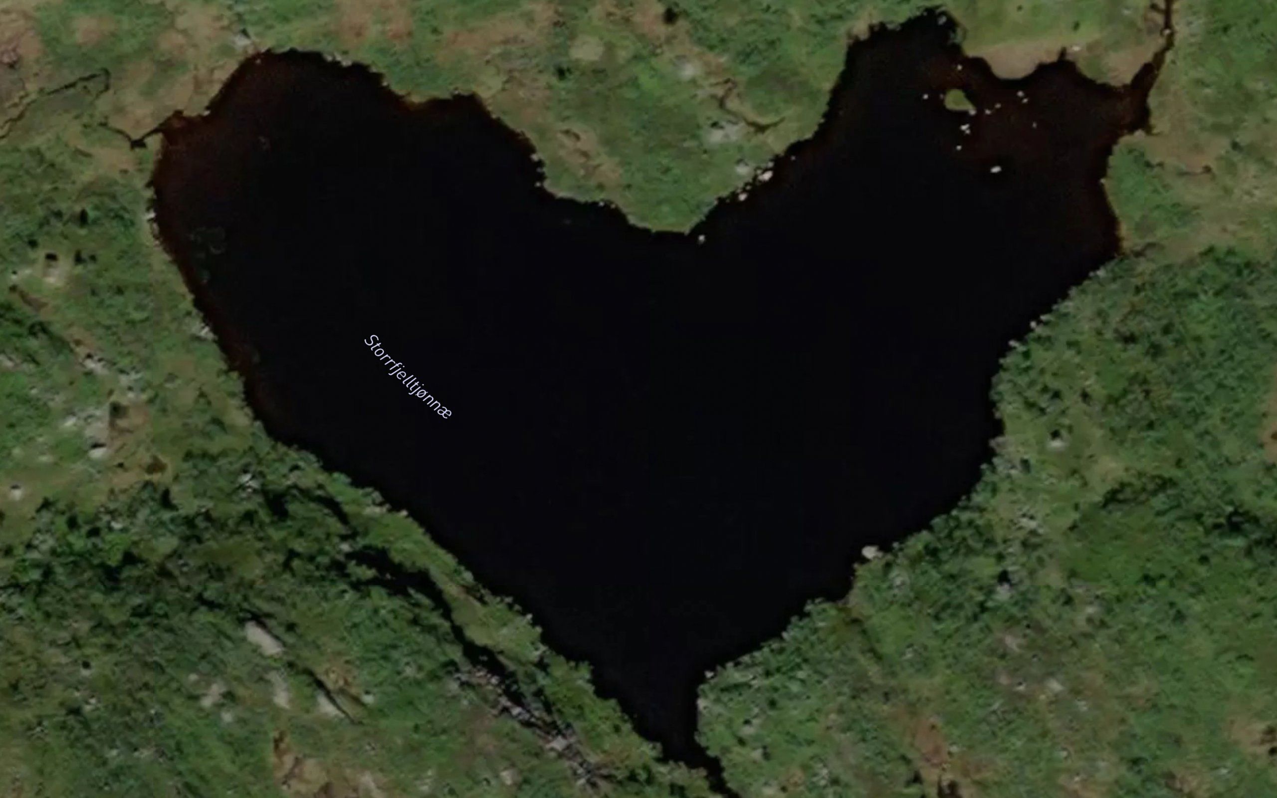 Storrfjelltjorni