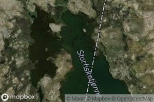 Storfisketjorni
