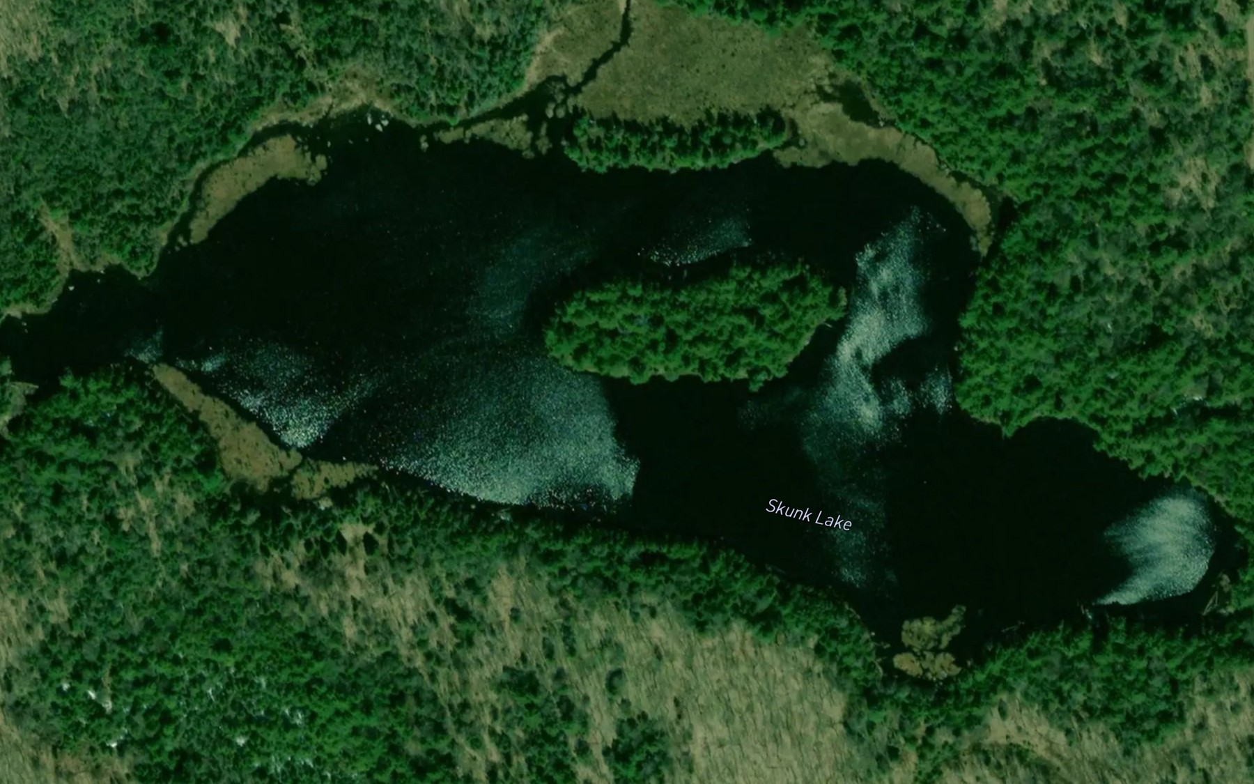 Satellite map of the Skunk Lake