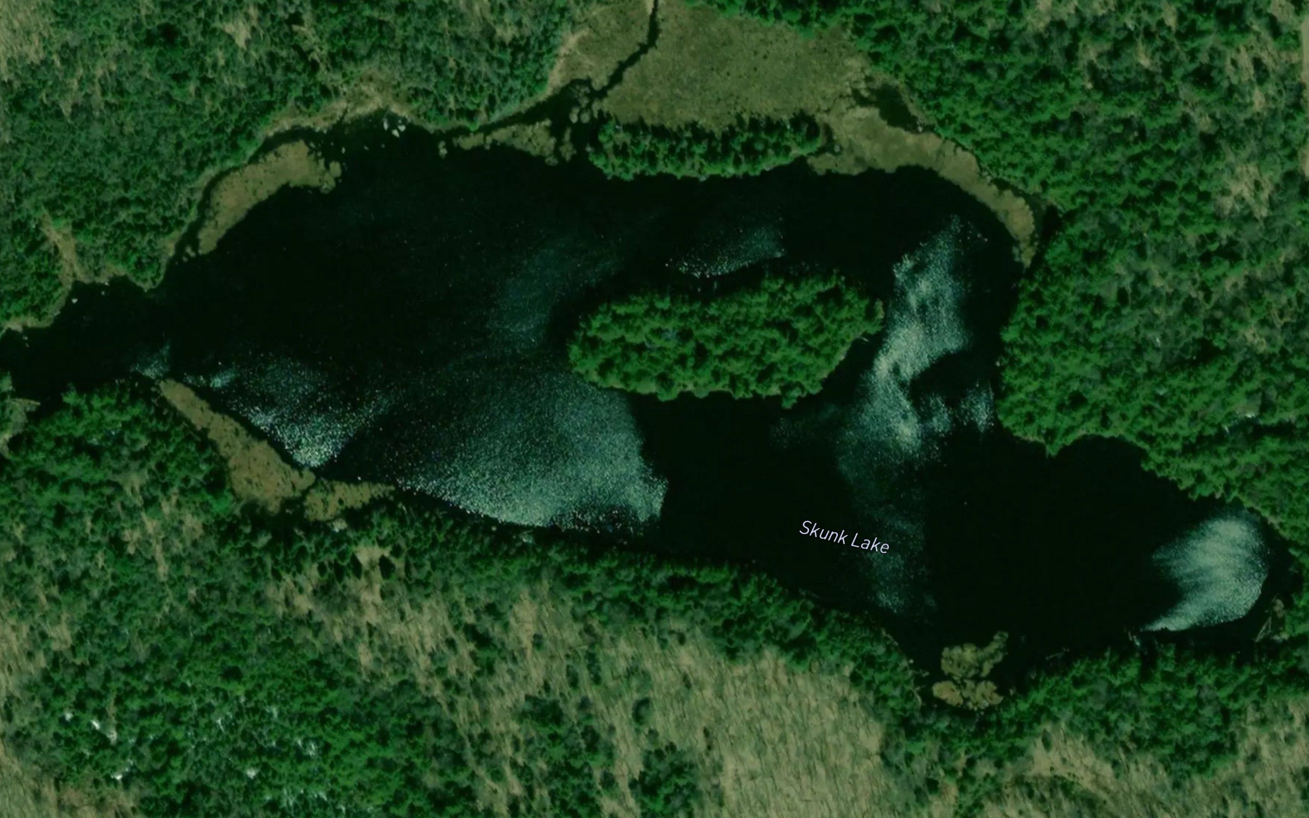 Skunk Lake
