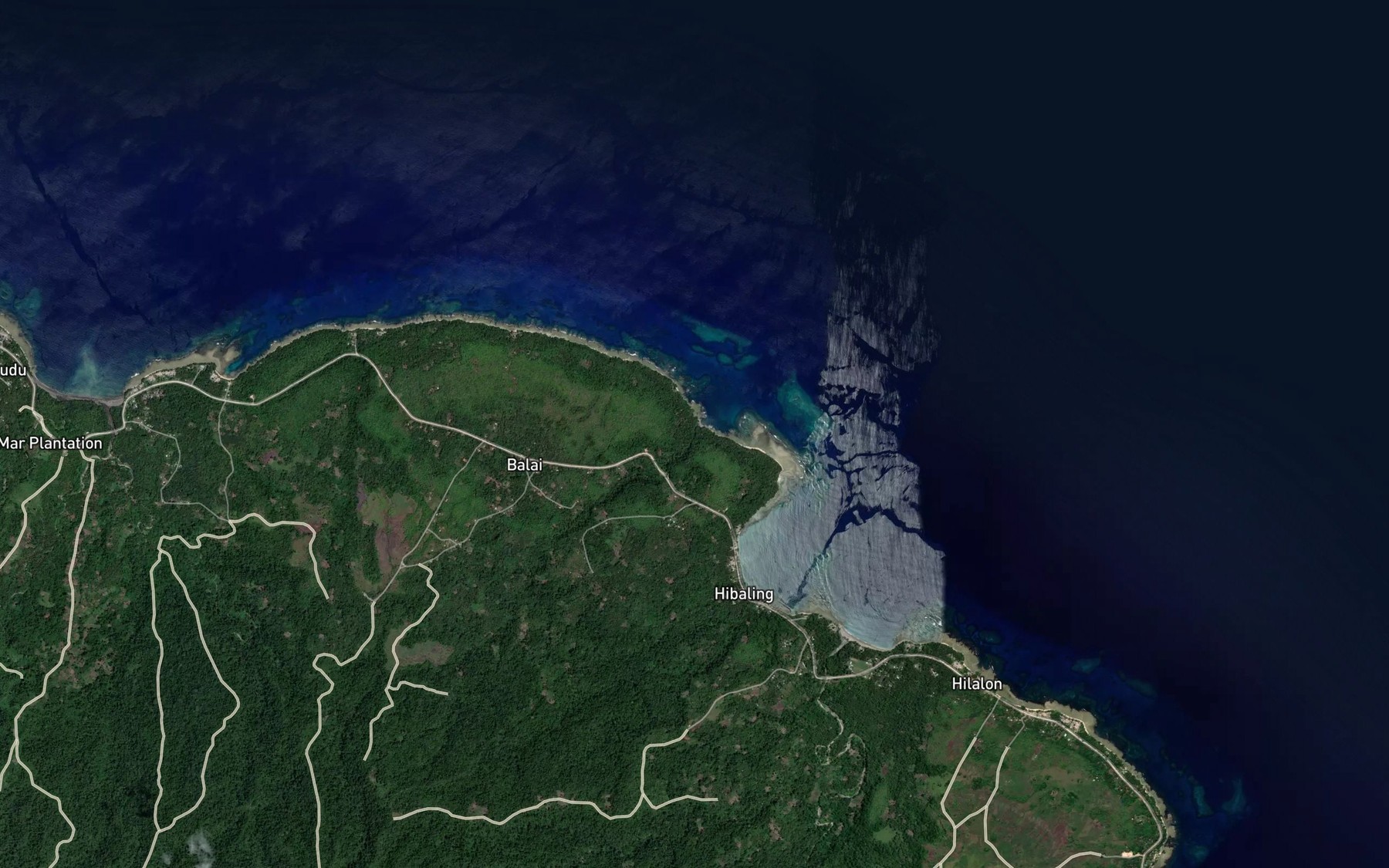 Satellite map of the Tokna River